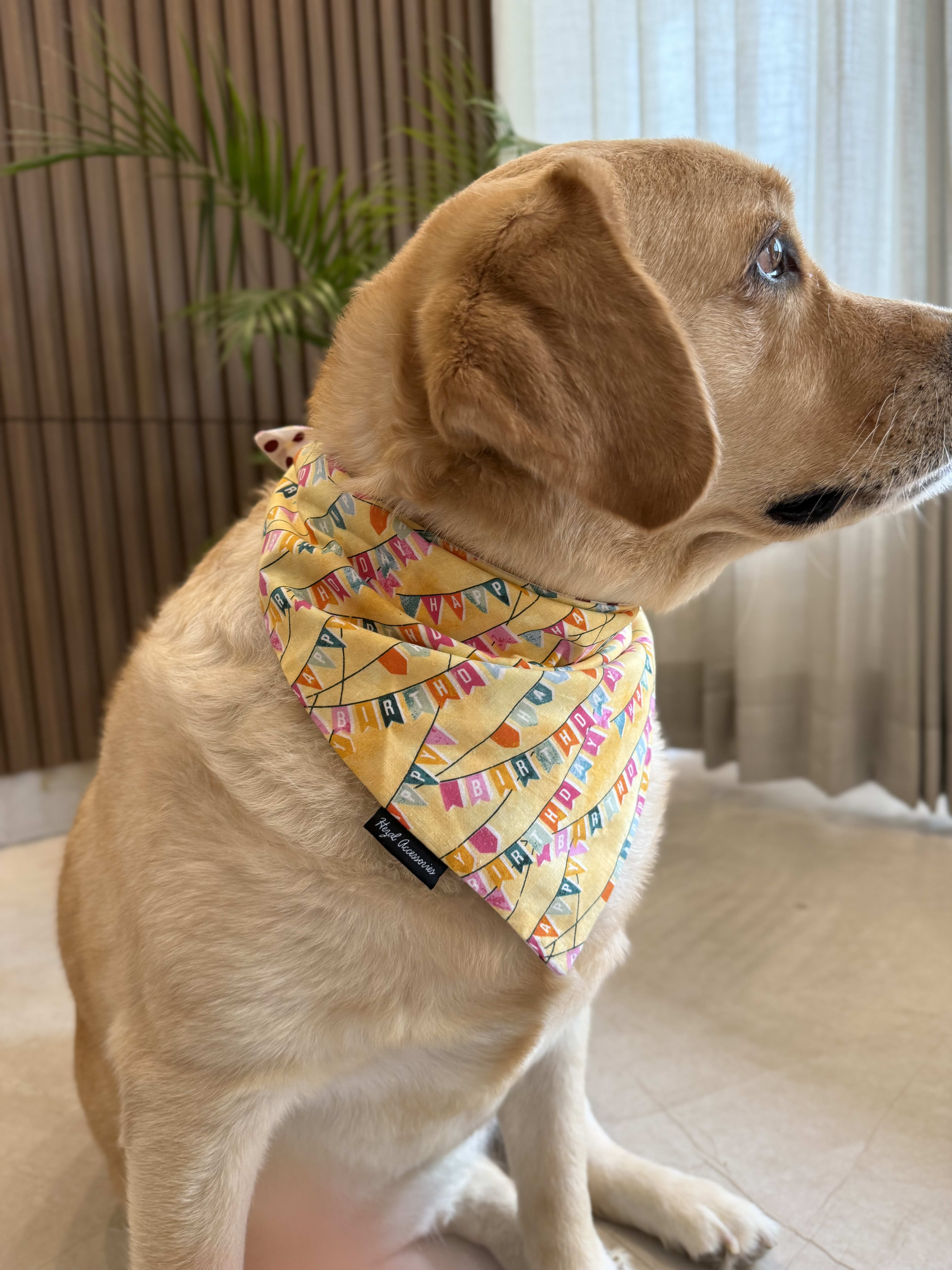 Birthday Bunting Bliss tie on Bandana image 3
