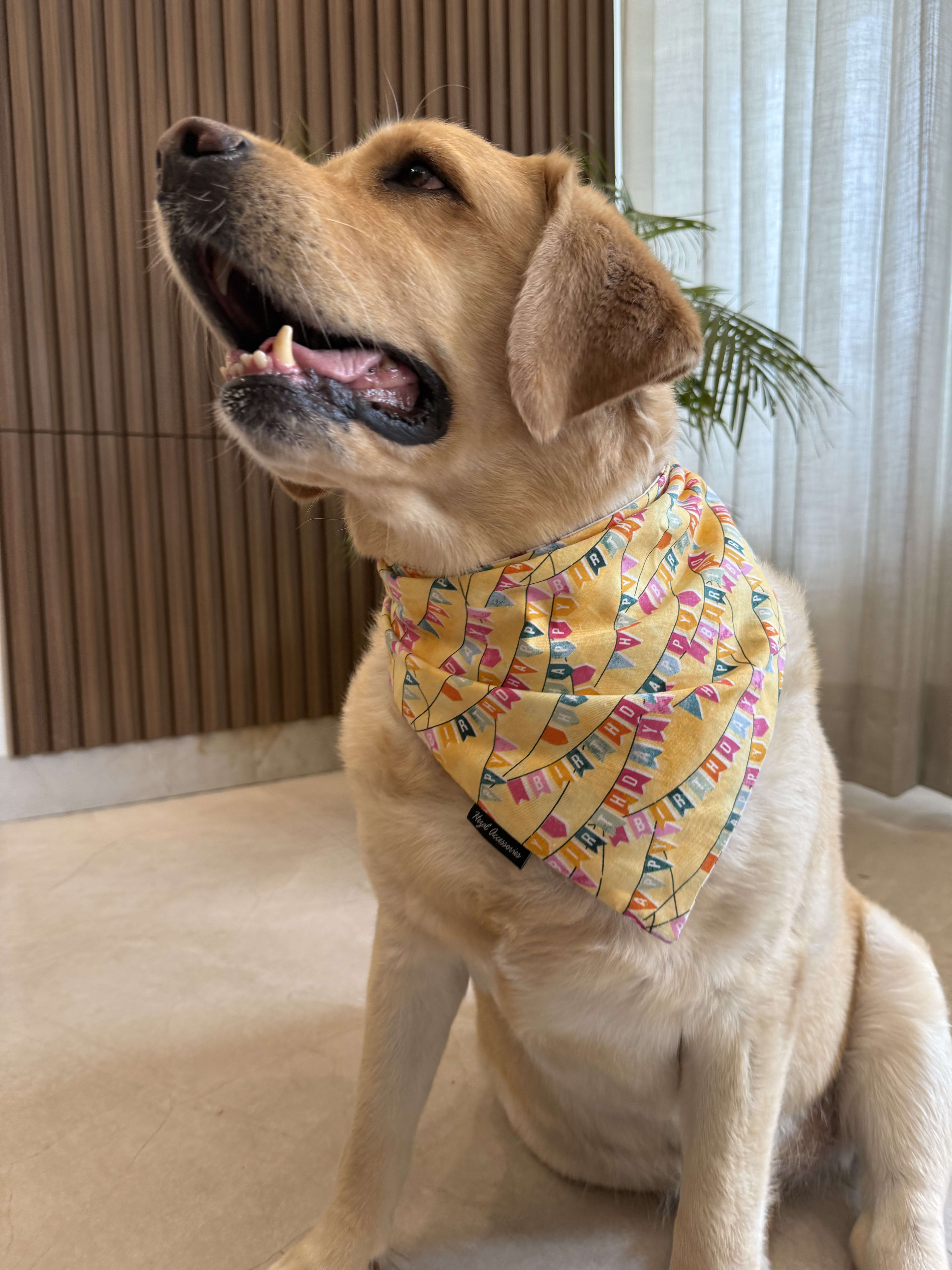 Birthday Bunting Bliss tie on Bandana image 2