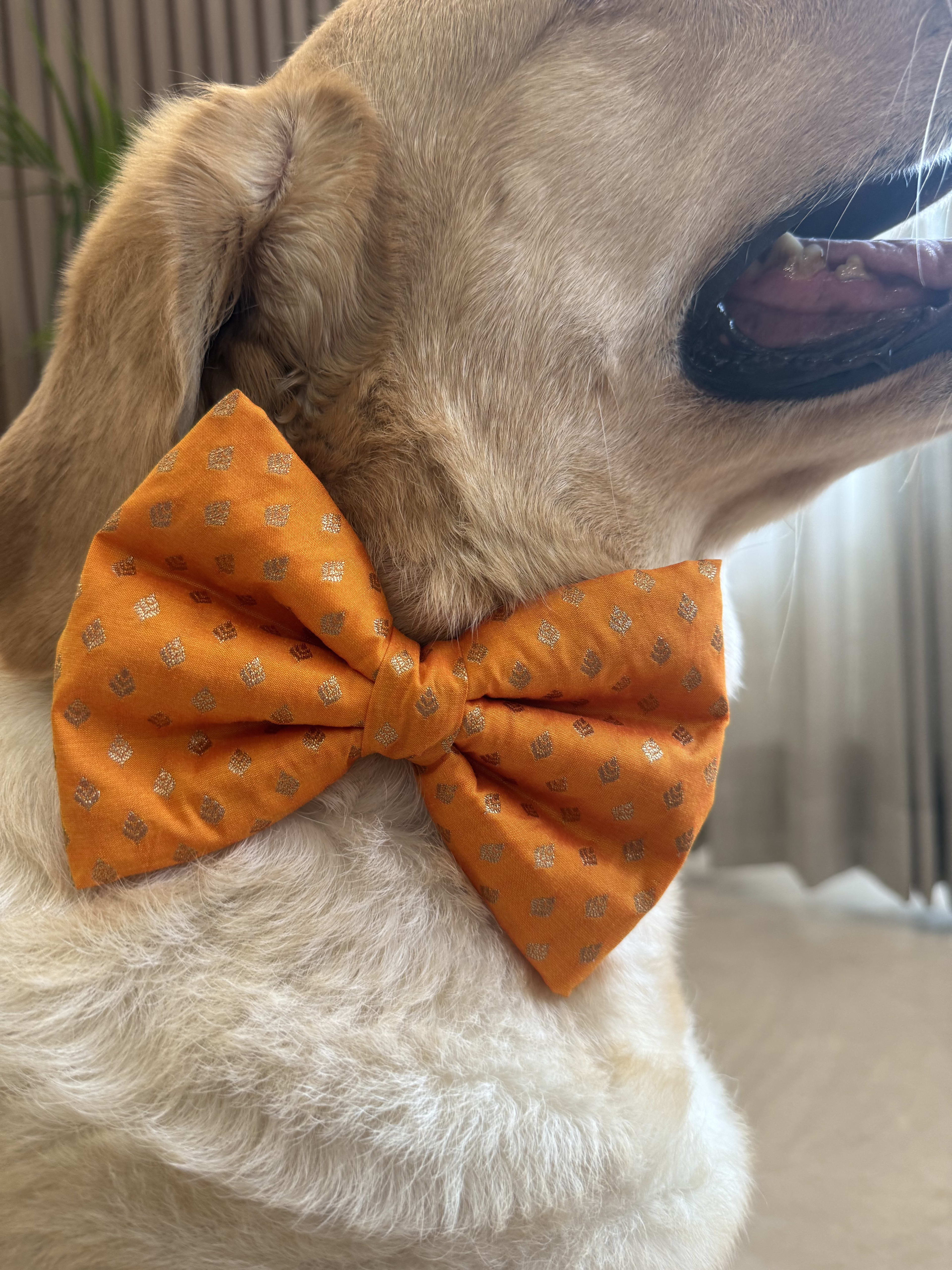Golden Glow Festive Bow Tie image 5