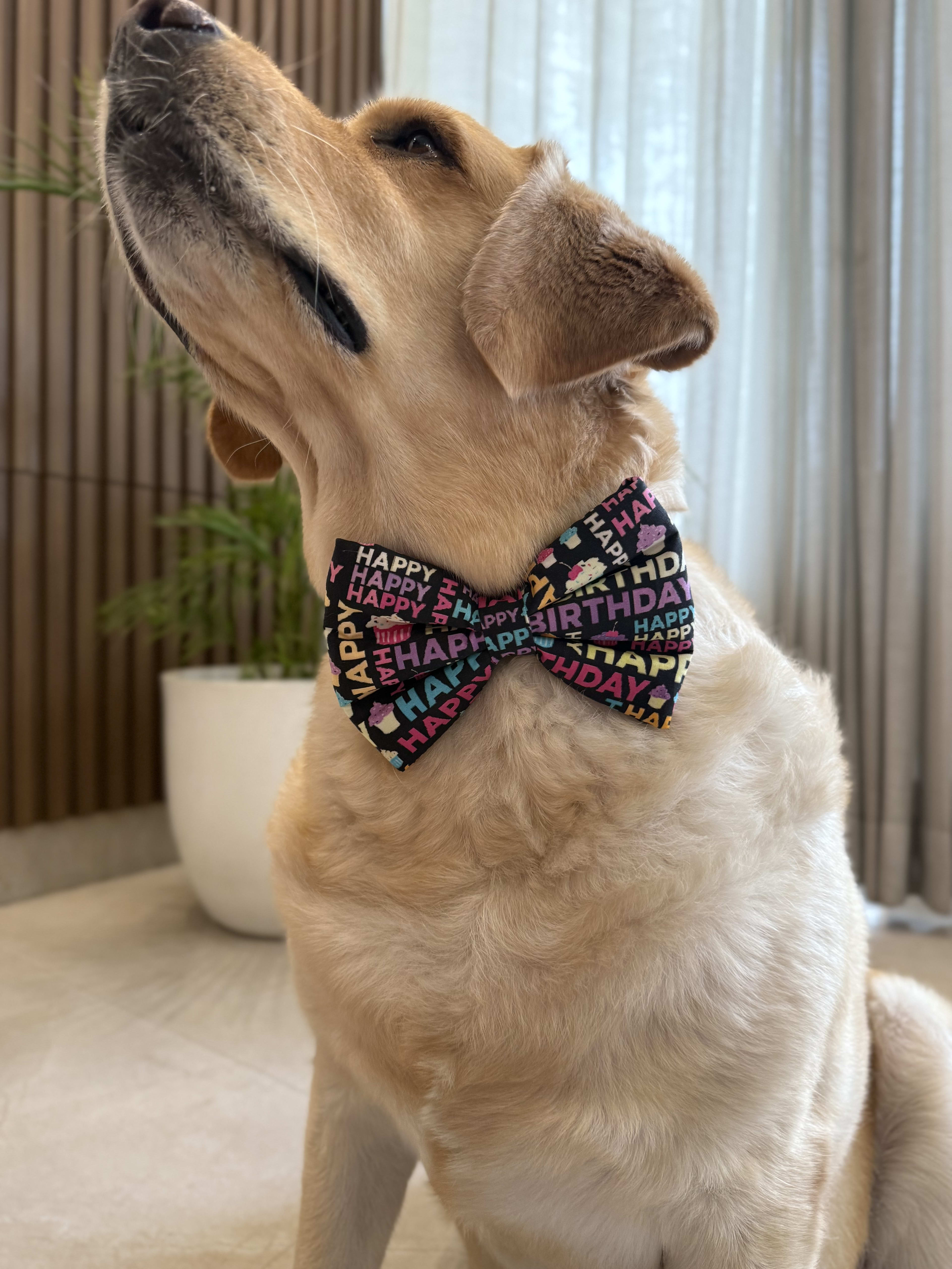 Cupcake Birthday Bow Tie image 2