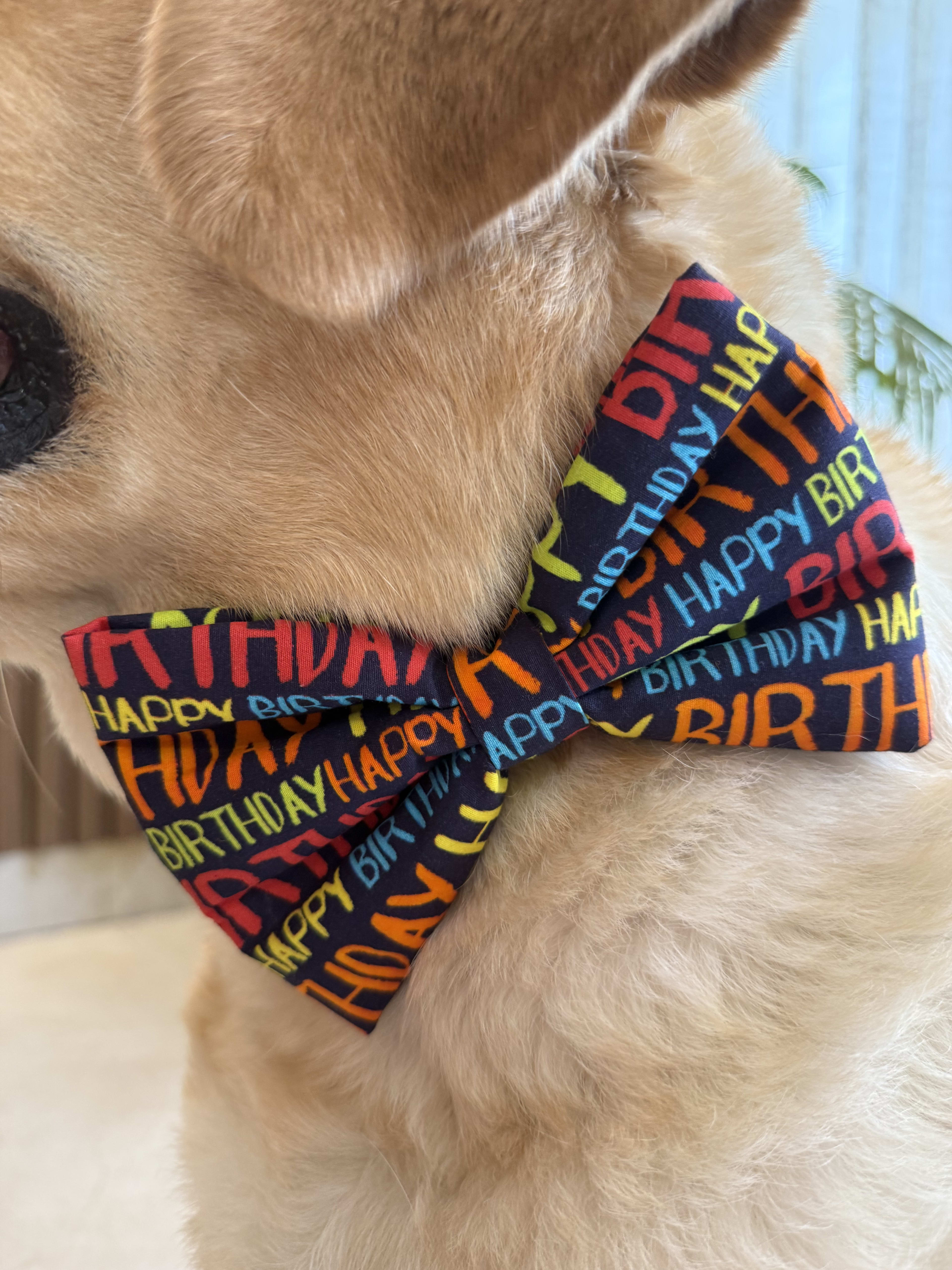 Pawty Pop Birthday Bow Tie image 3