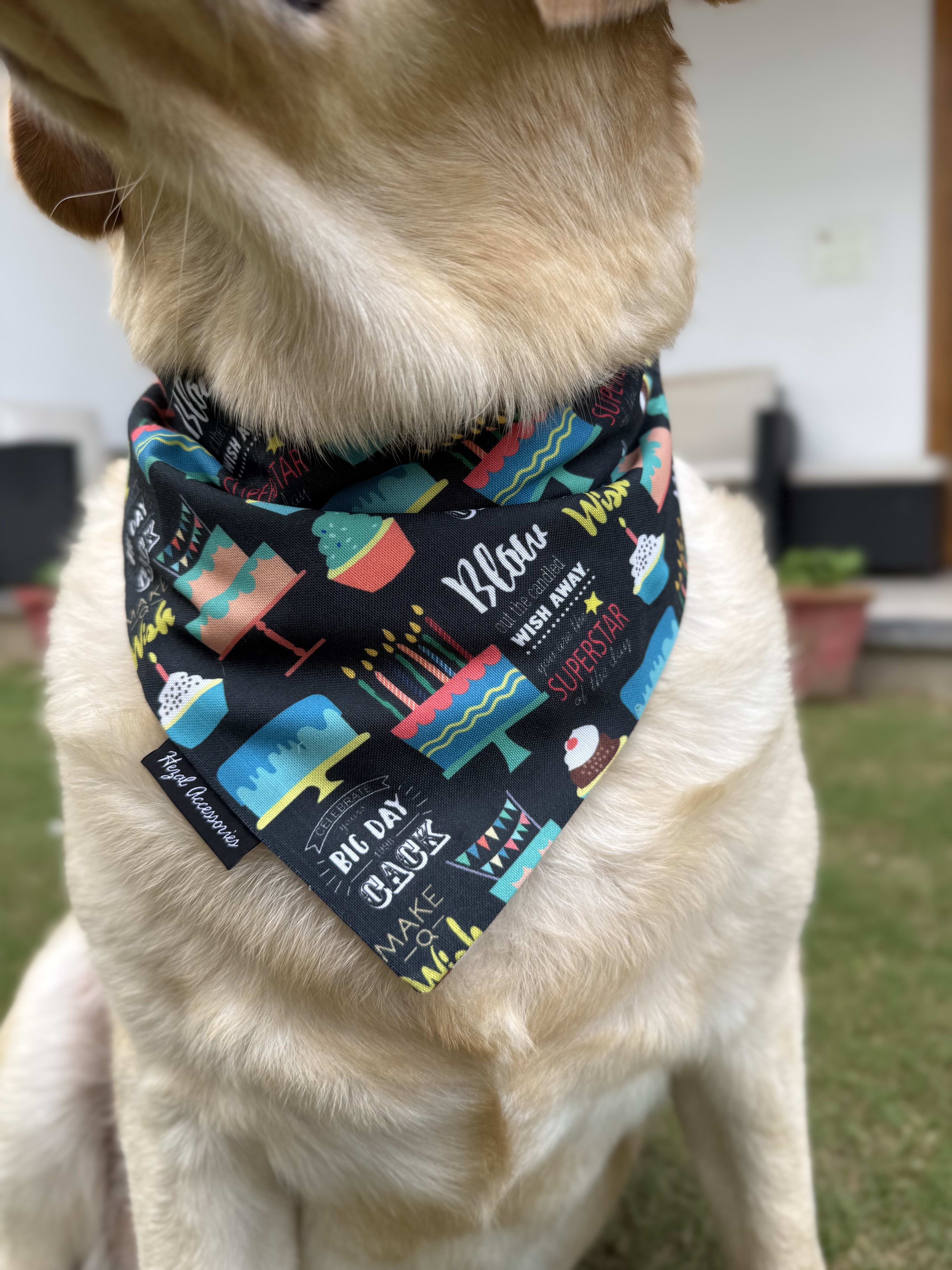 Birthday Bash tie on Bandana image 3