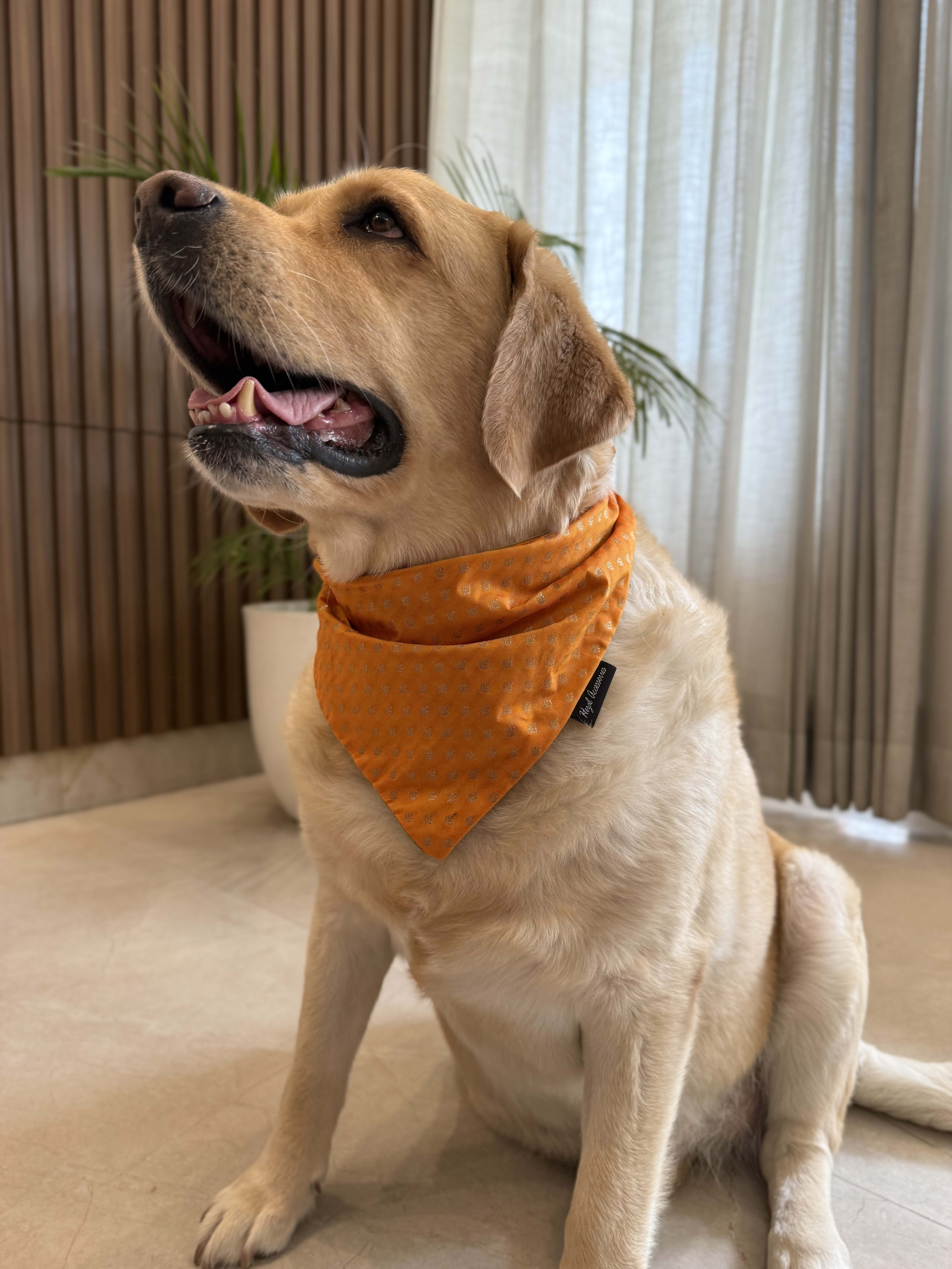 Festive Glow Bandana image 3