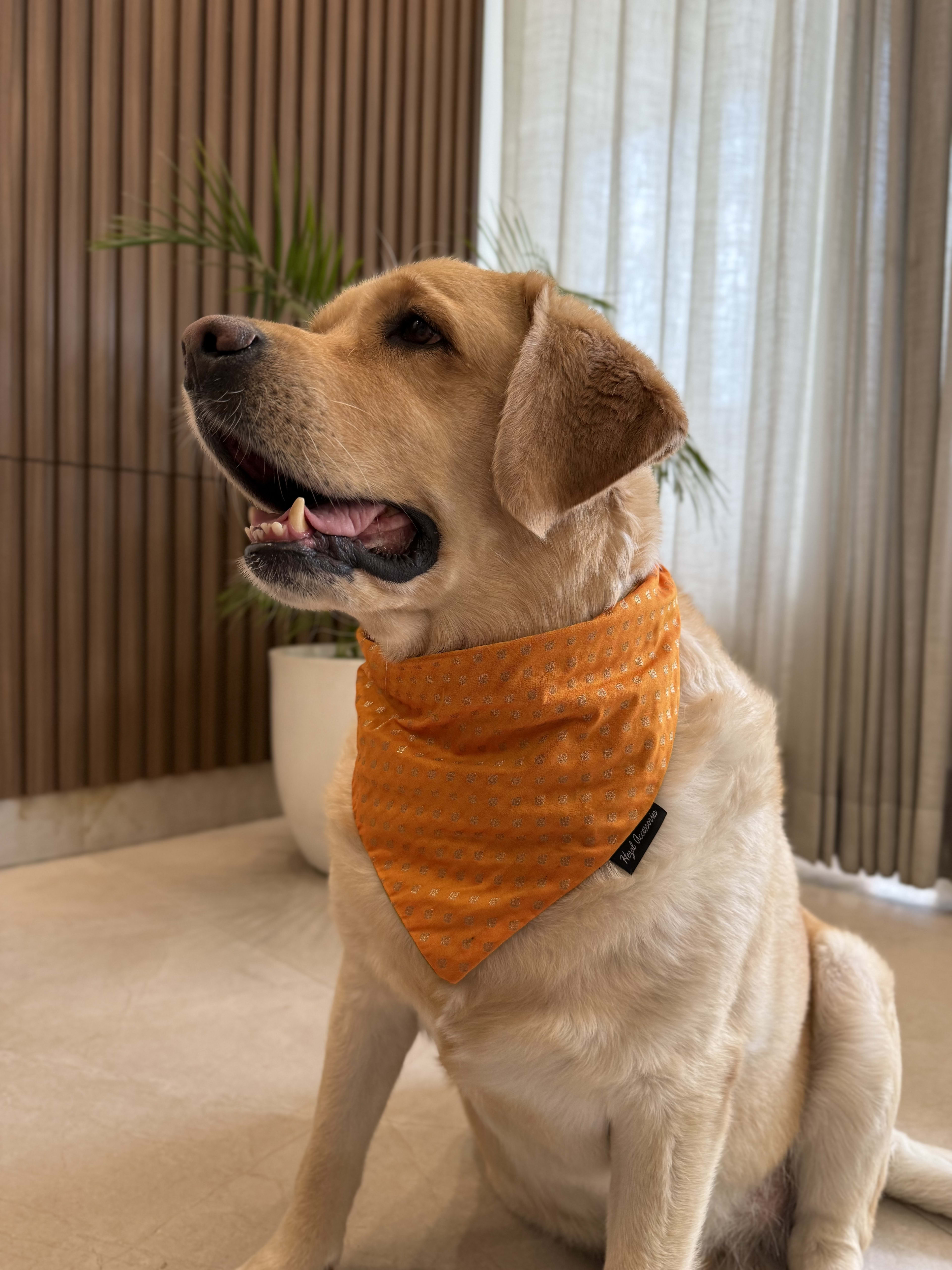 Festive Glow Bandana image 2