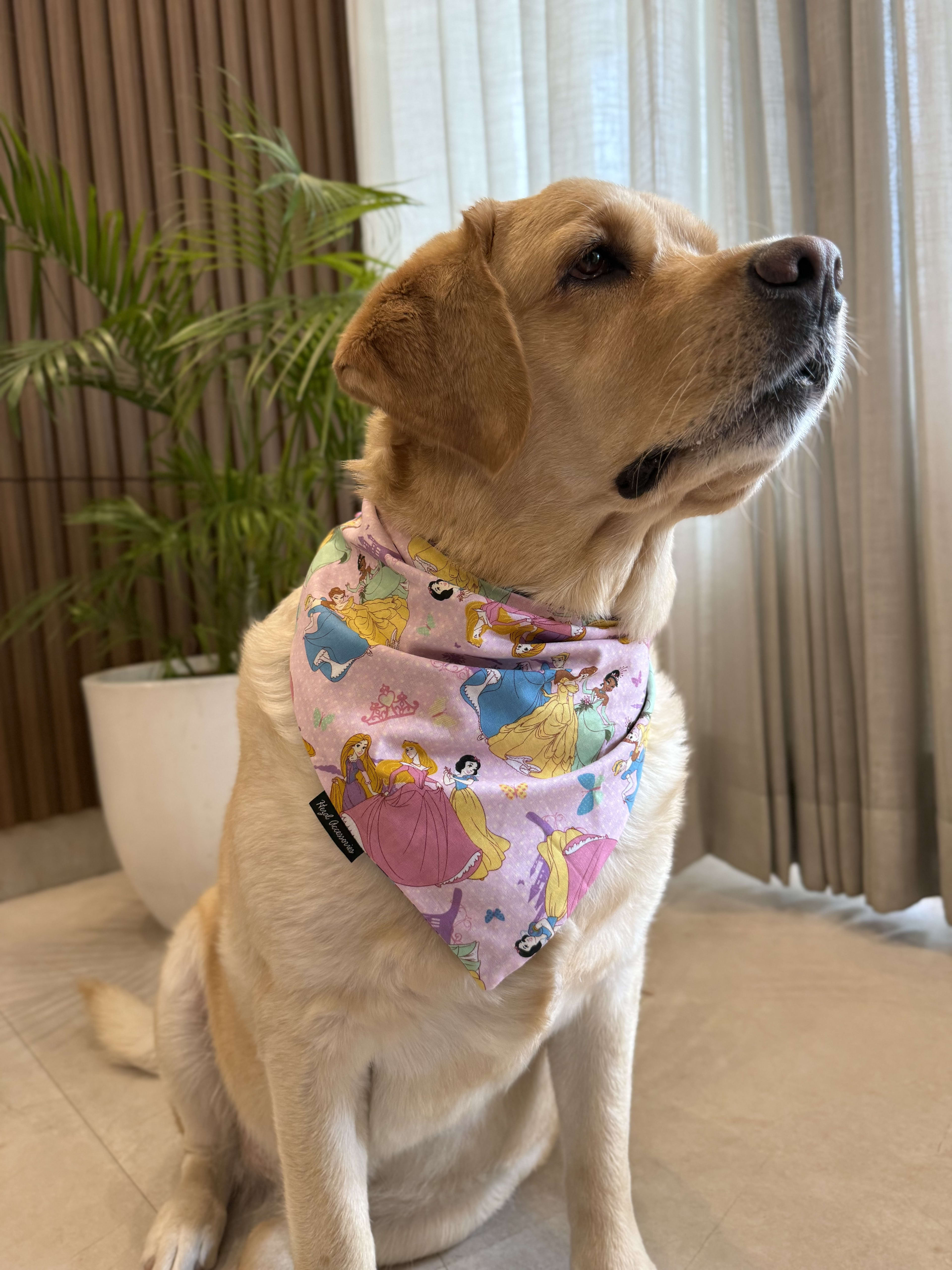 Princess Charm Bandana