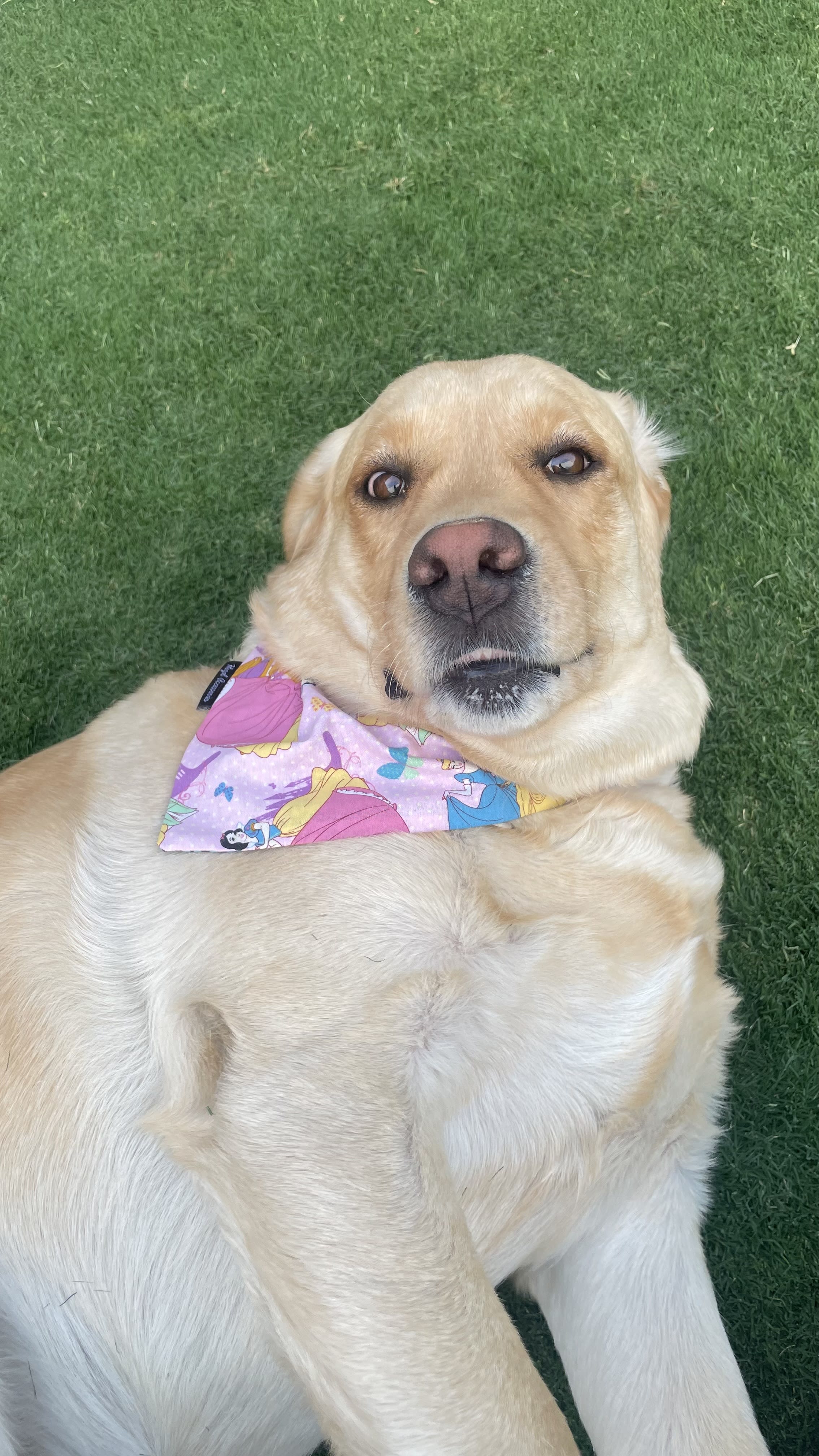 Princess Charm Bandana image 2