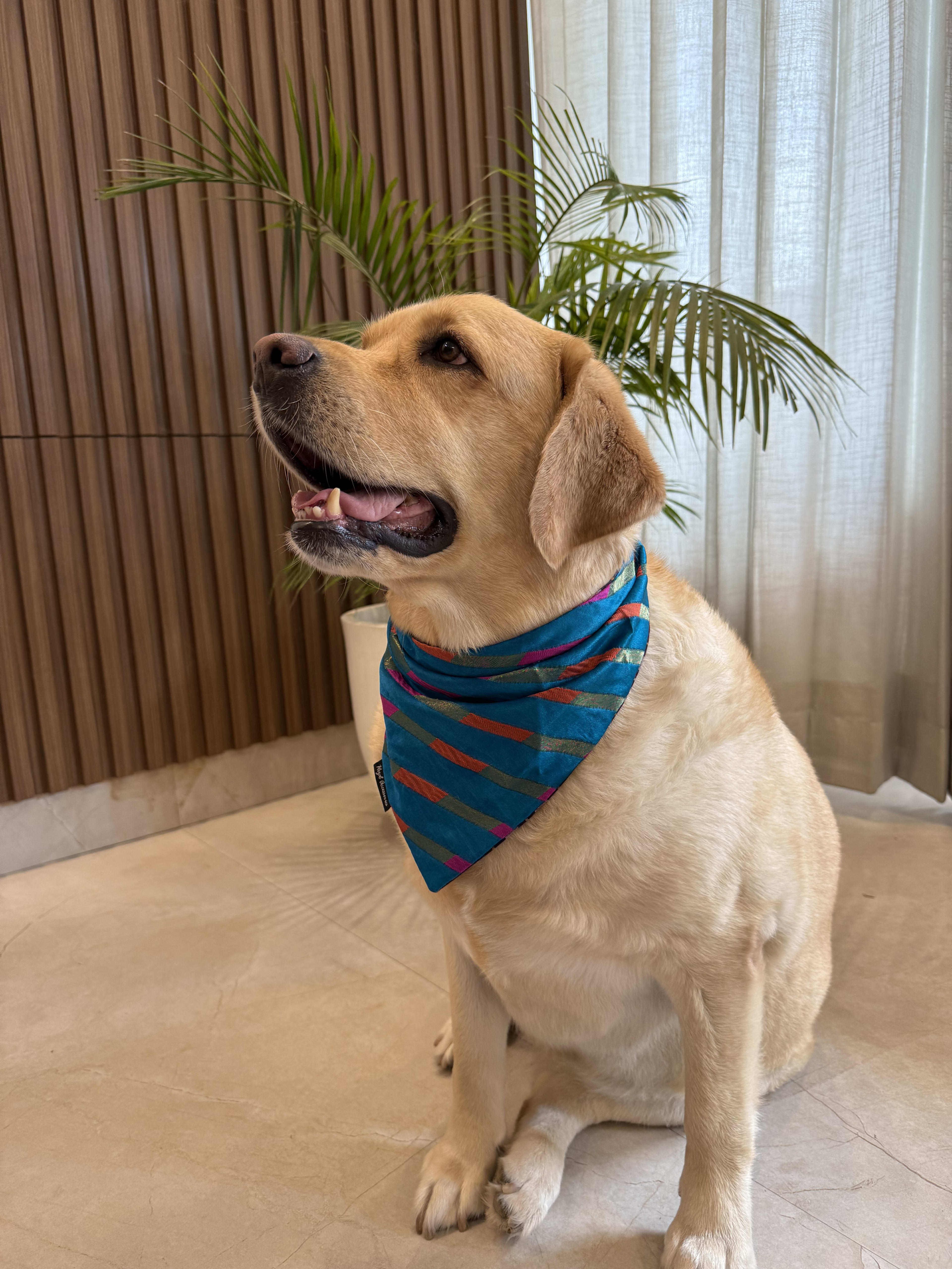 Blue Mirage tie on Bandana  image 3