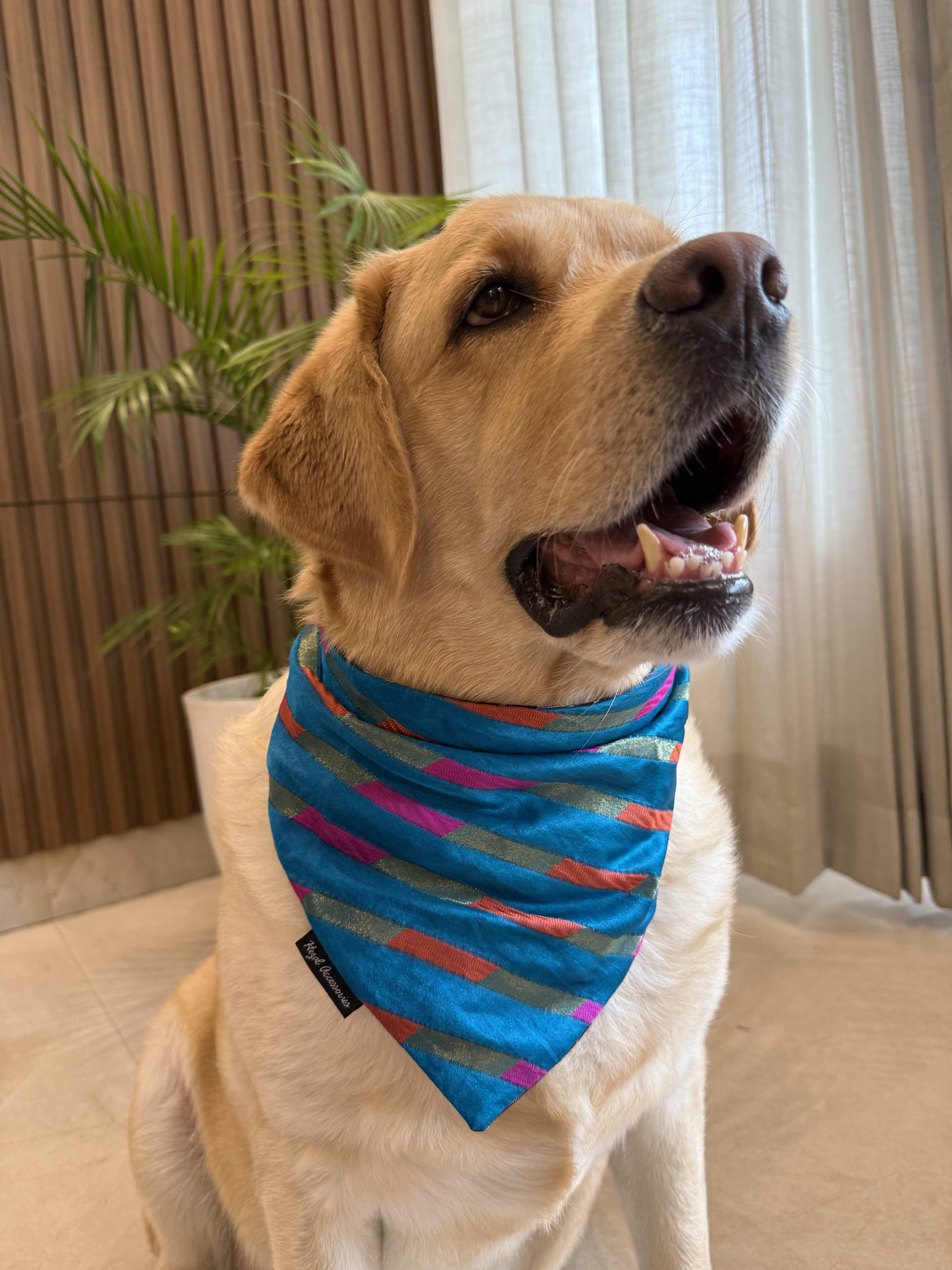 Blue Mirage tie on Bandana 