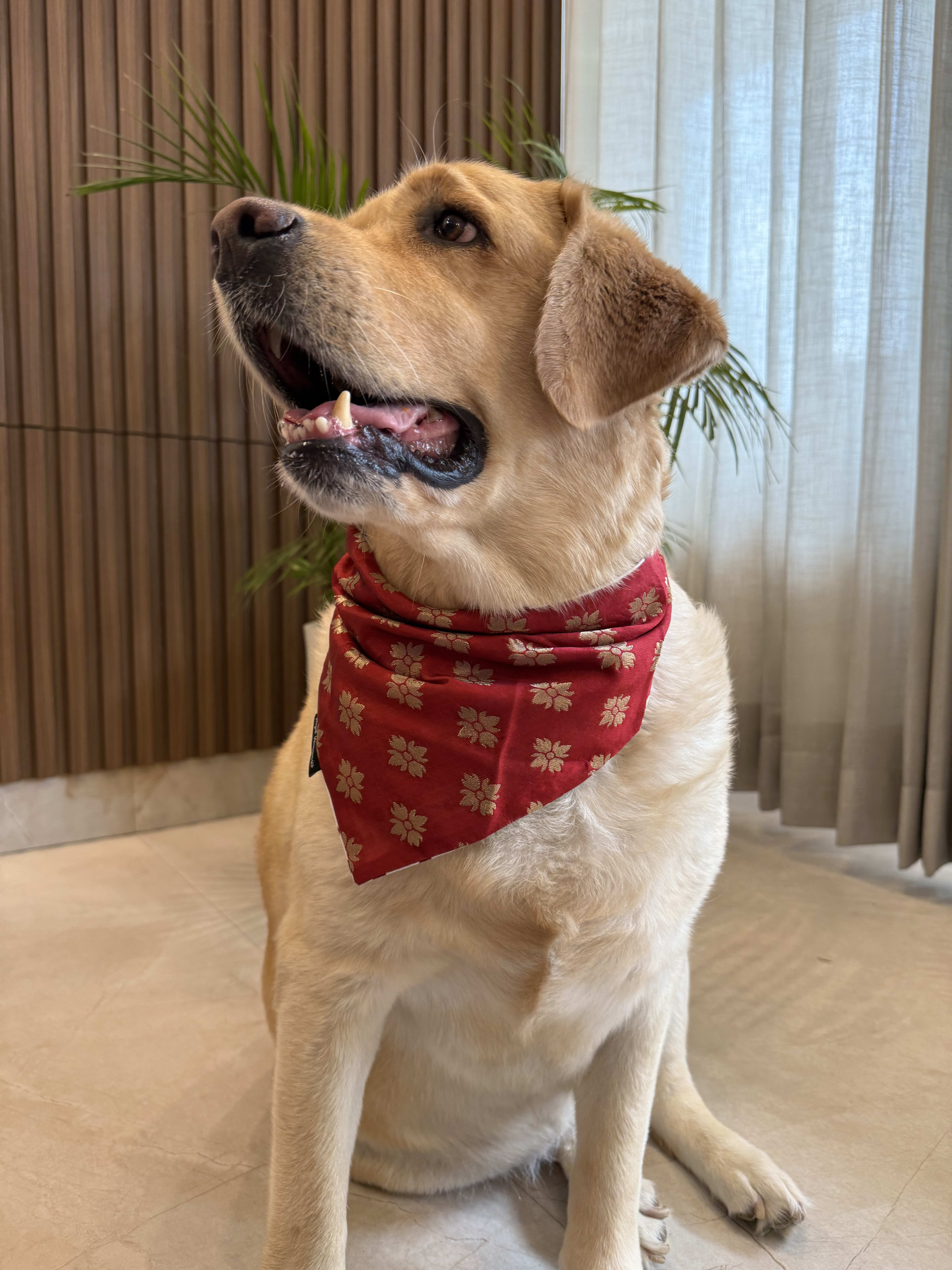 Rouge Elegance Bandana