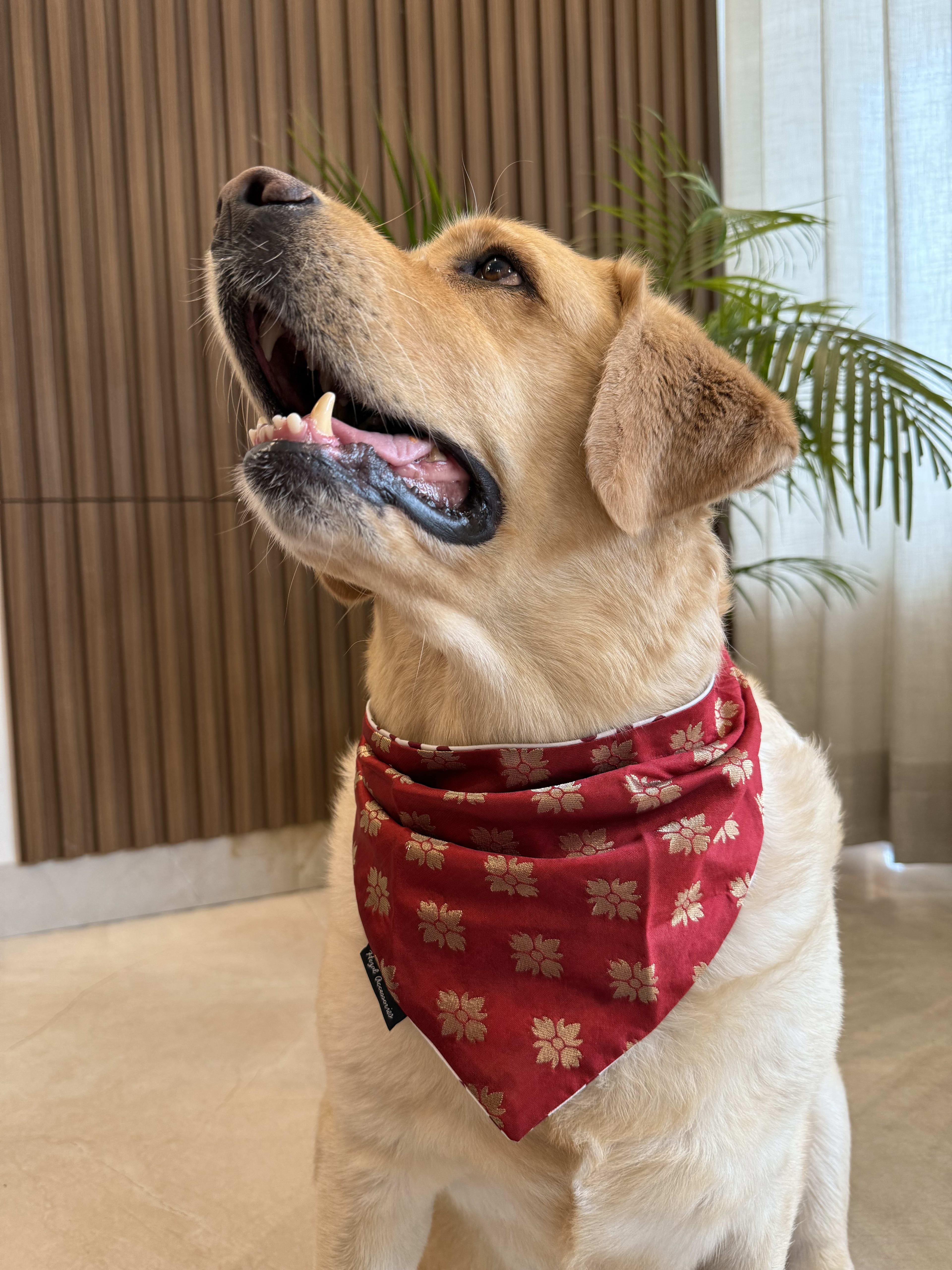 Rouge Elegance Bandana image 2