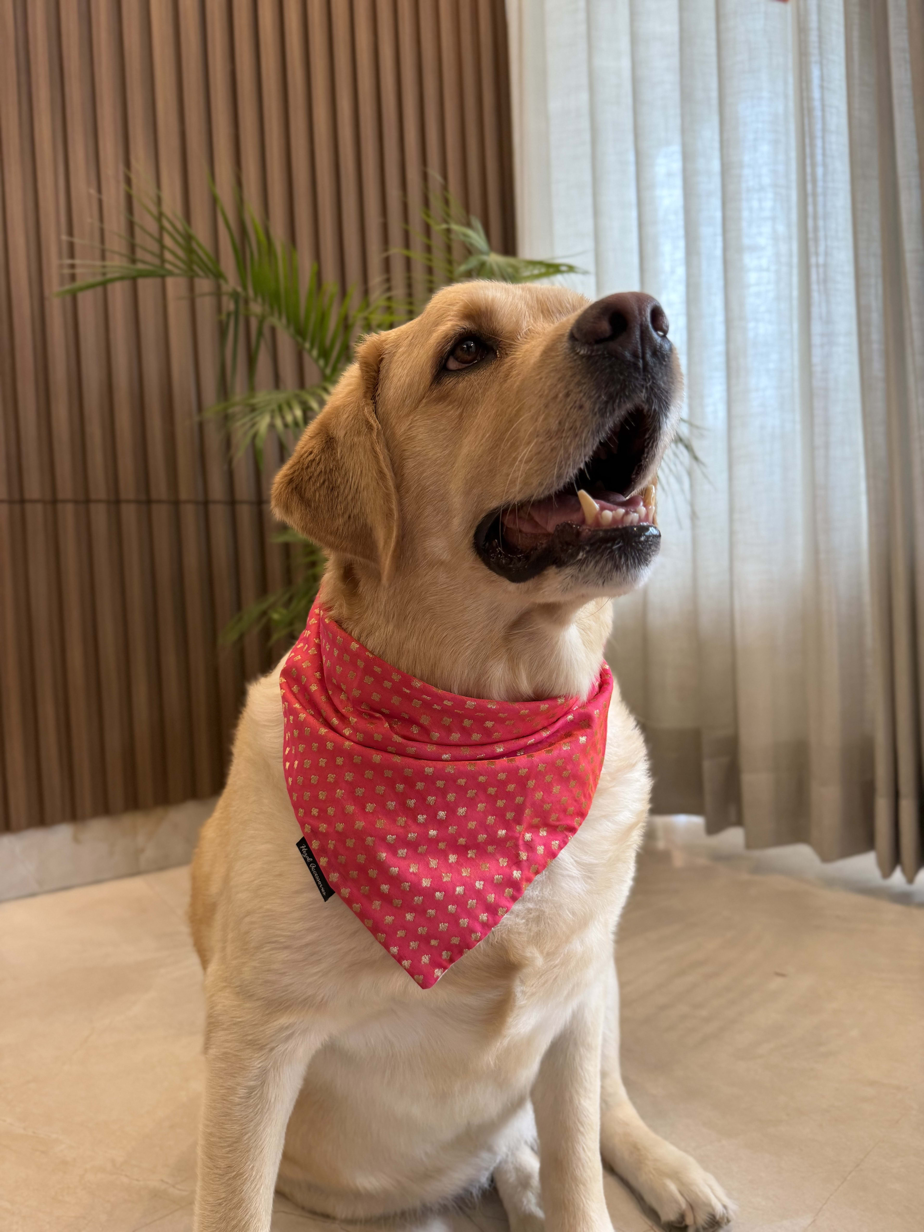 Stardust Bandana