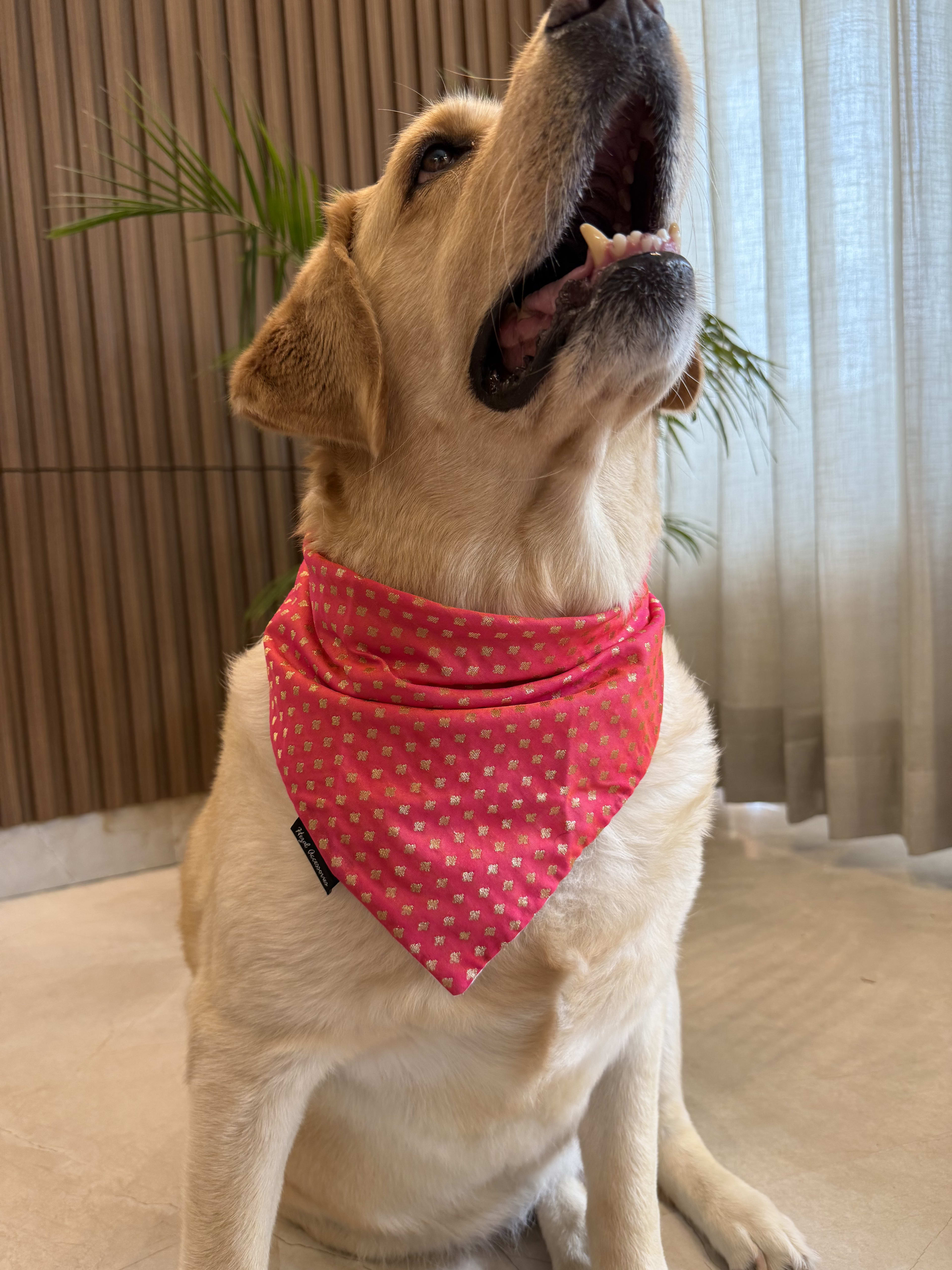 Stardust Bandana image 2