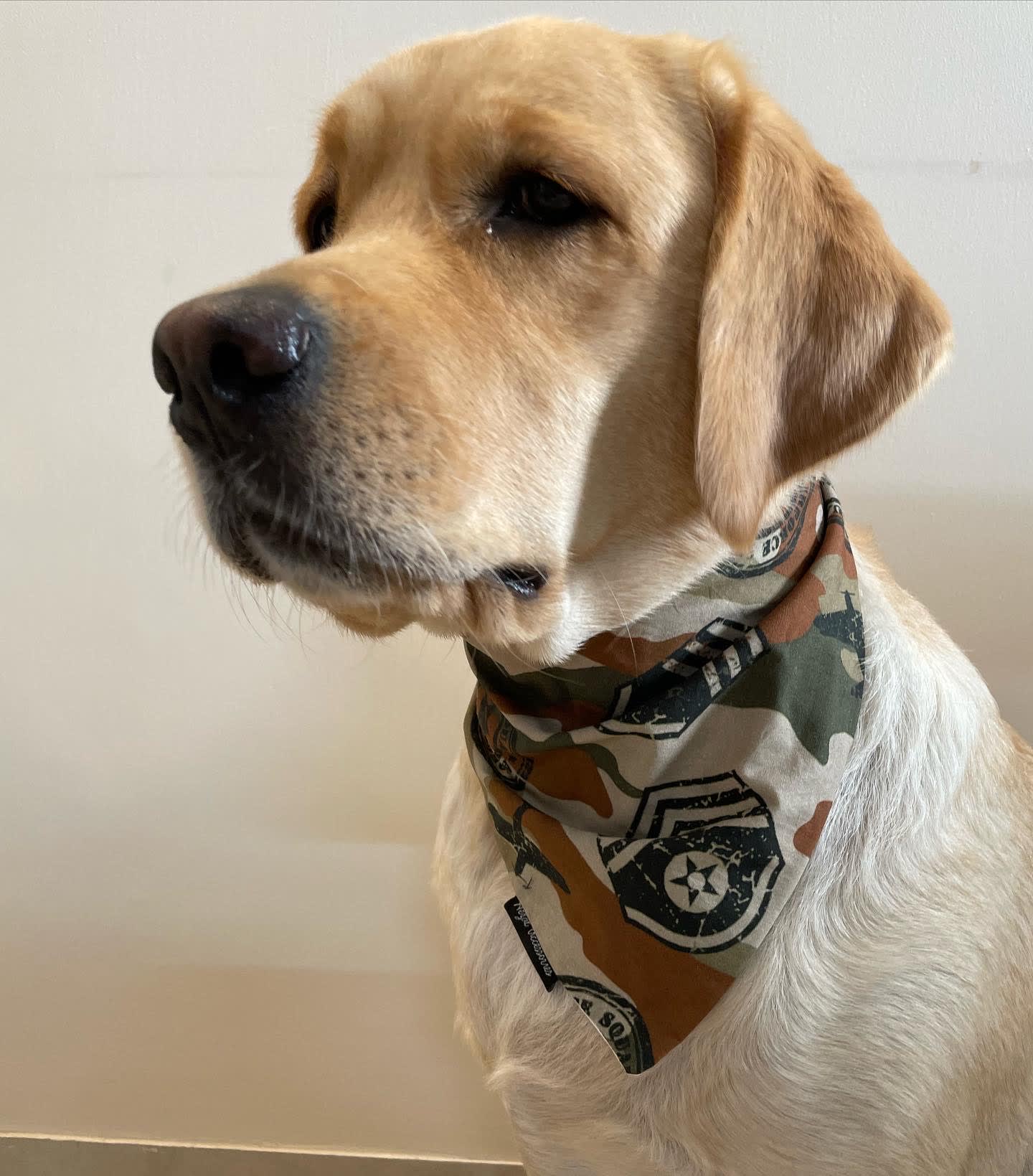 Camo Commander Bandana image 4
