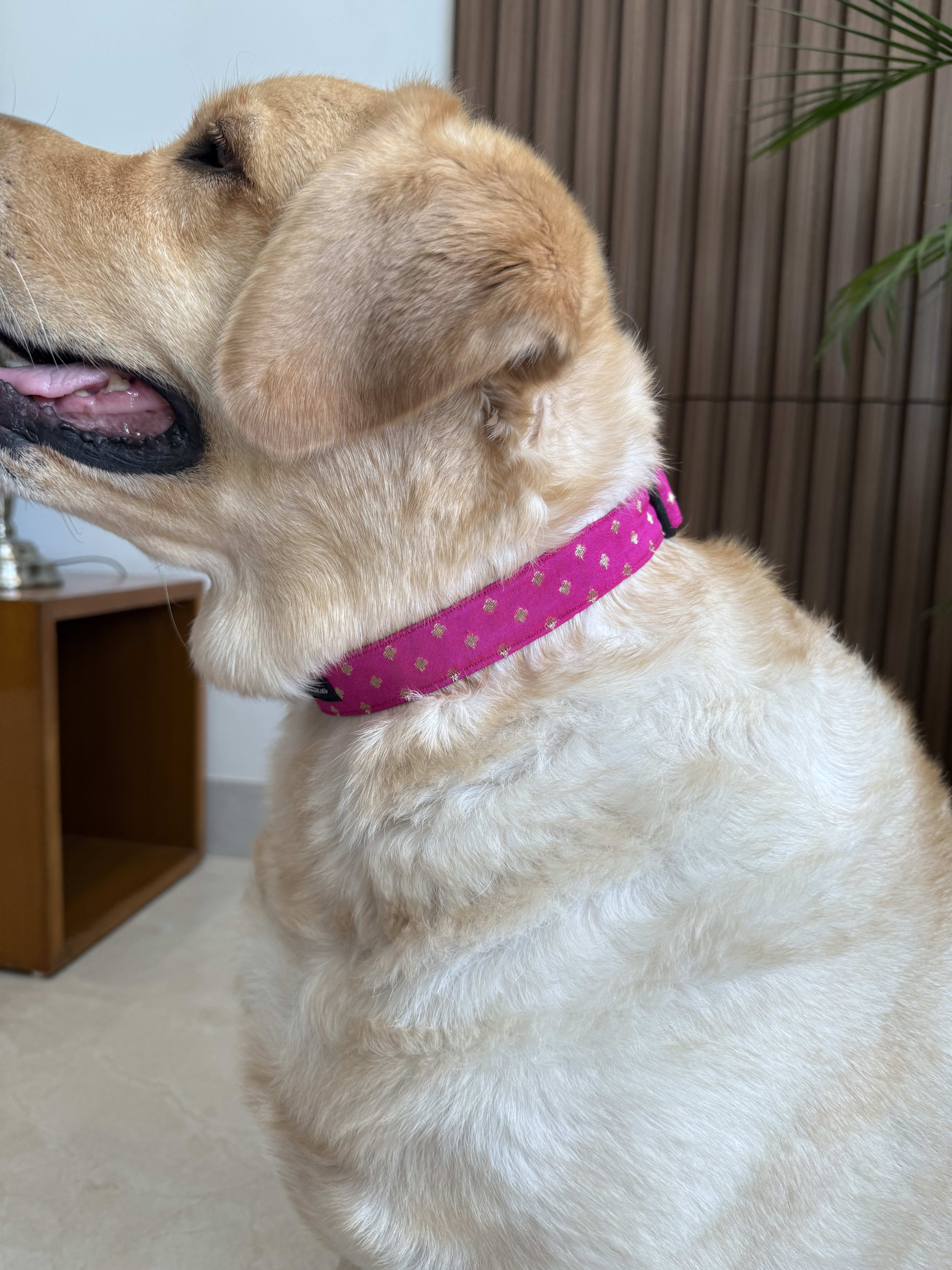 Festive Fuchsia Glam Collar image 2