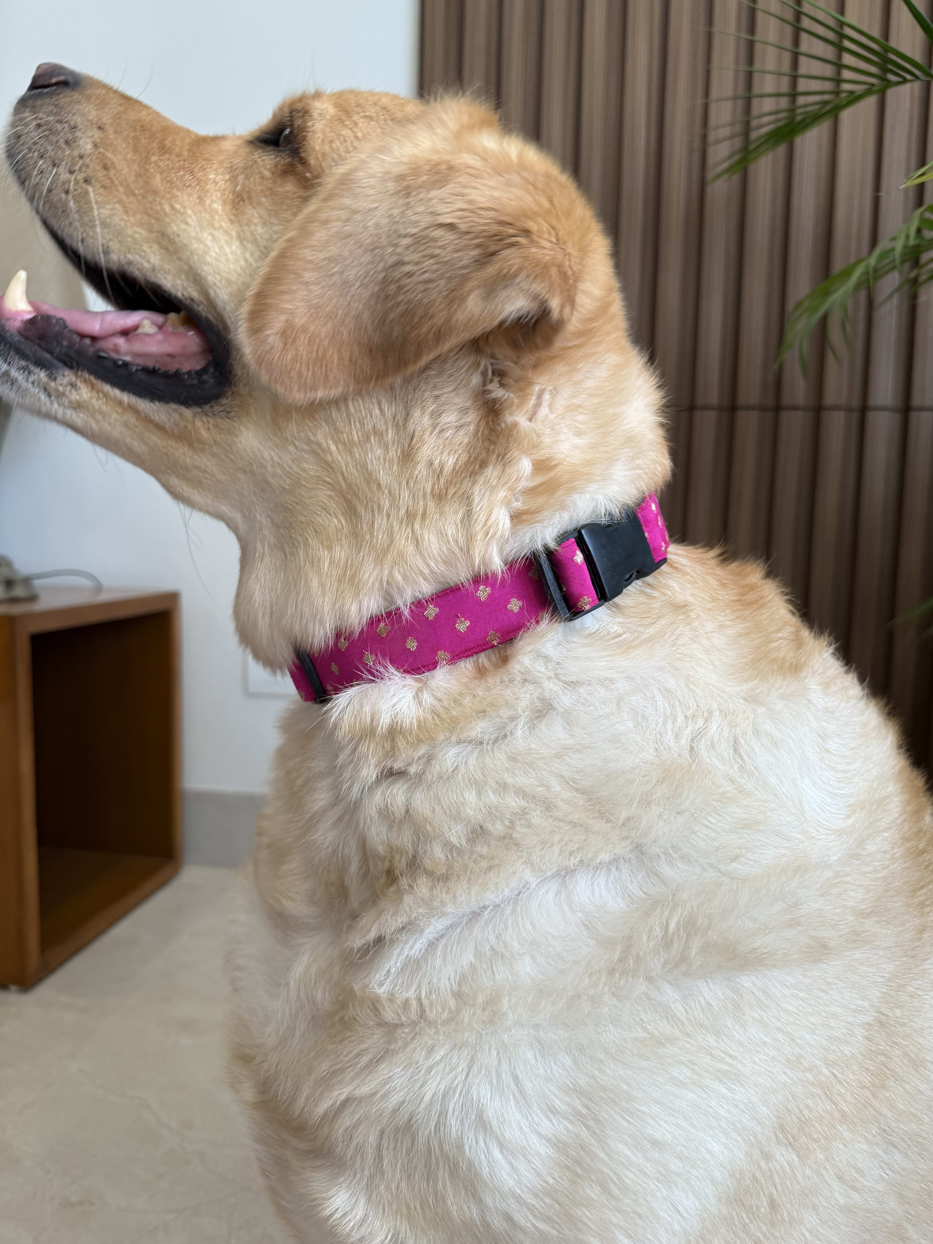 Festive Fuchsia Glam Collar image 3