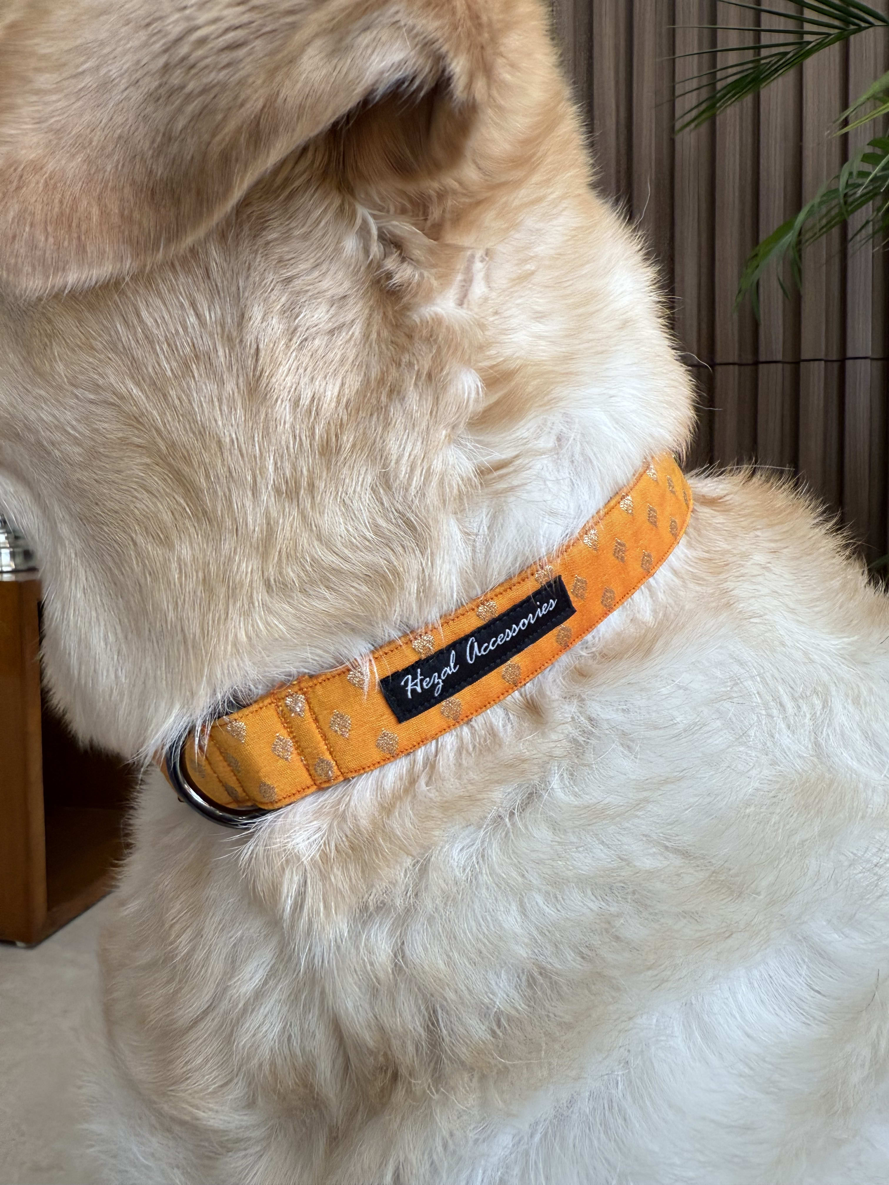 Yellow Marigold Festive Collar image 2