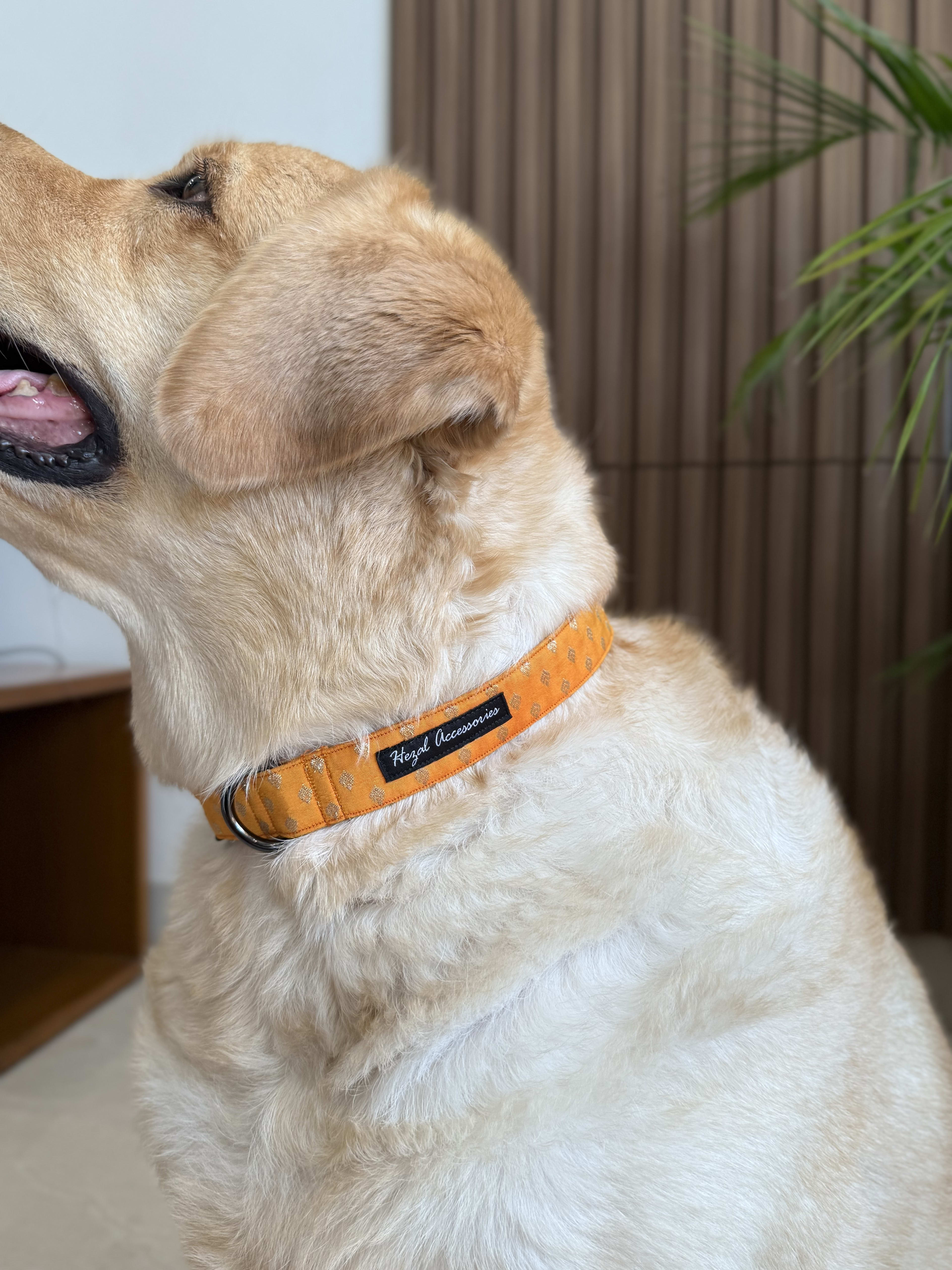 Yellow Marigold Festive Collar