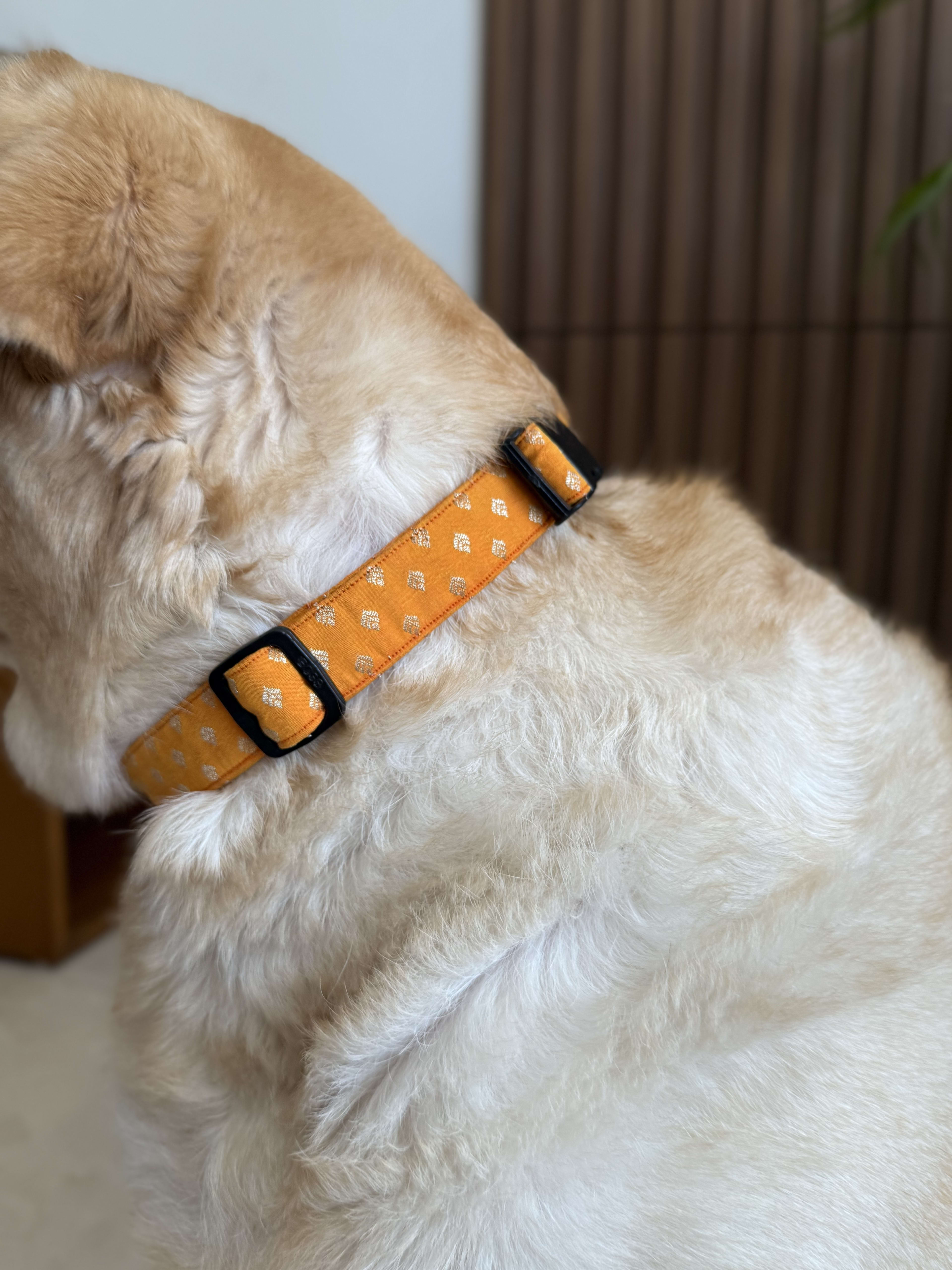 Yellow Marigold Festive Collar image 3