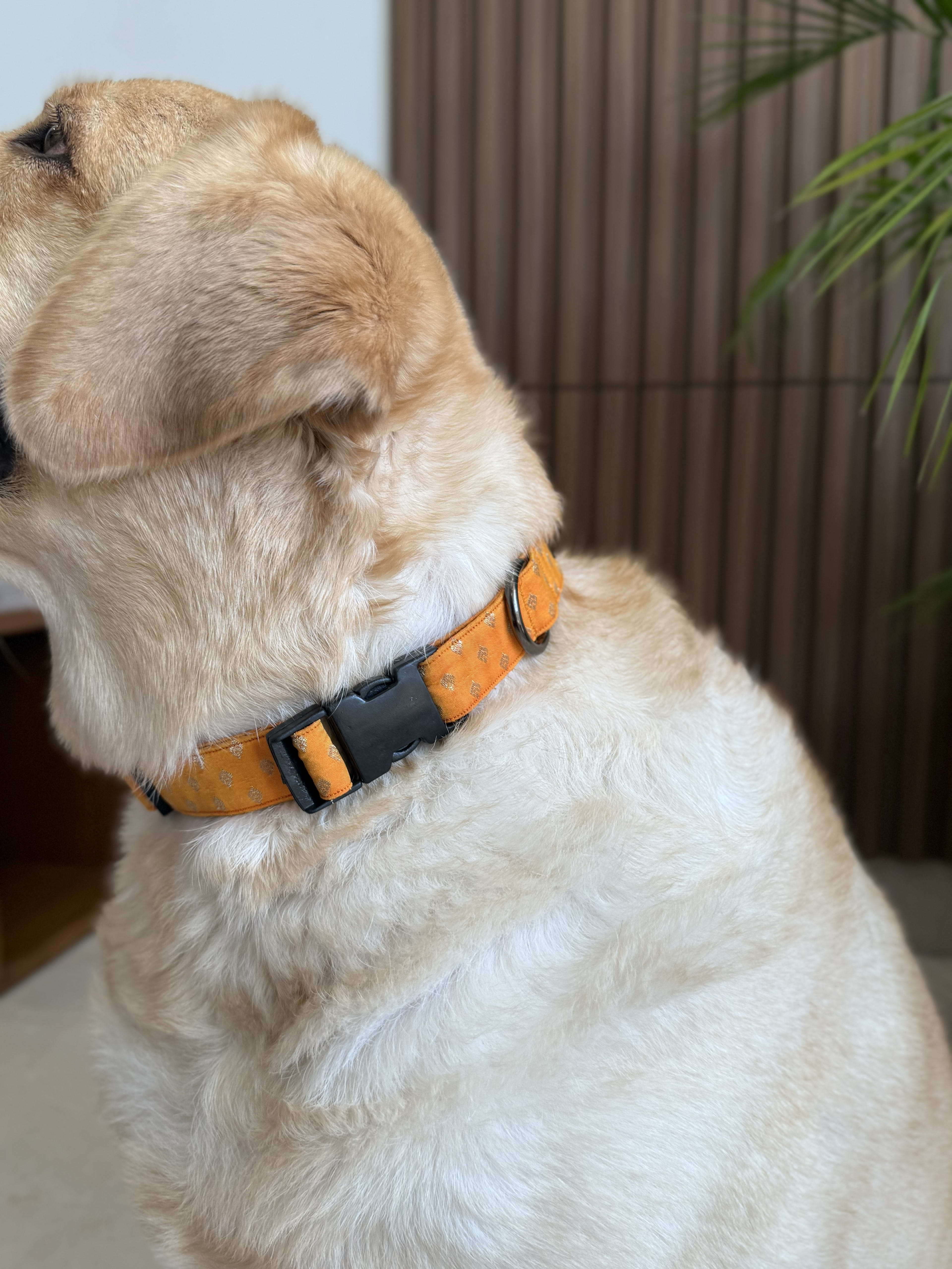 Yellow Marigold Festive Collar image 4