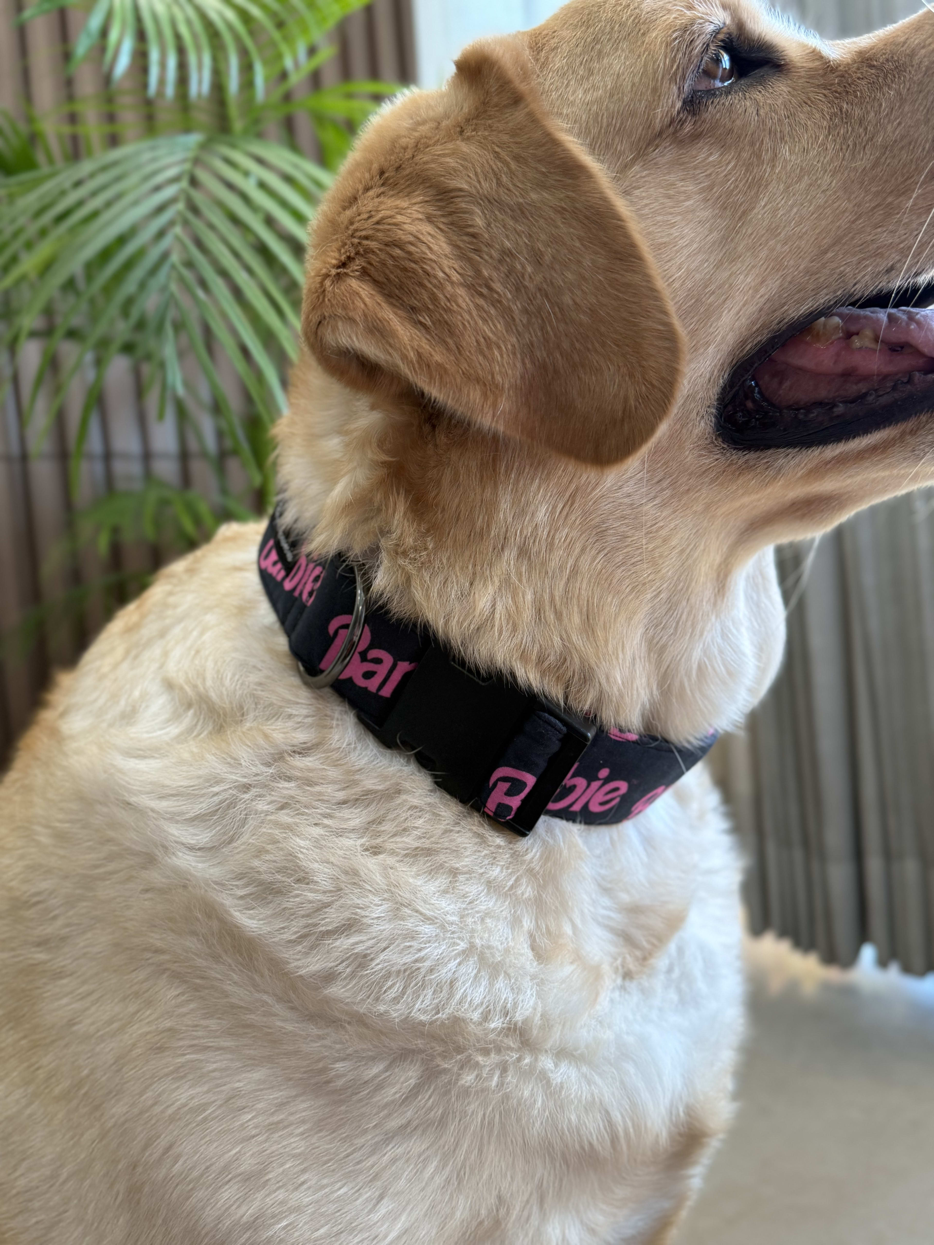 Barbie Dream Collar  image 2