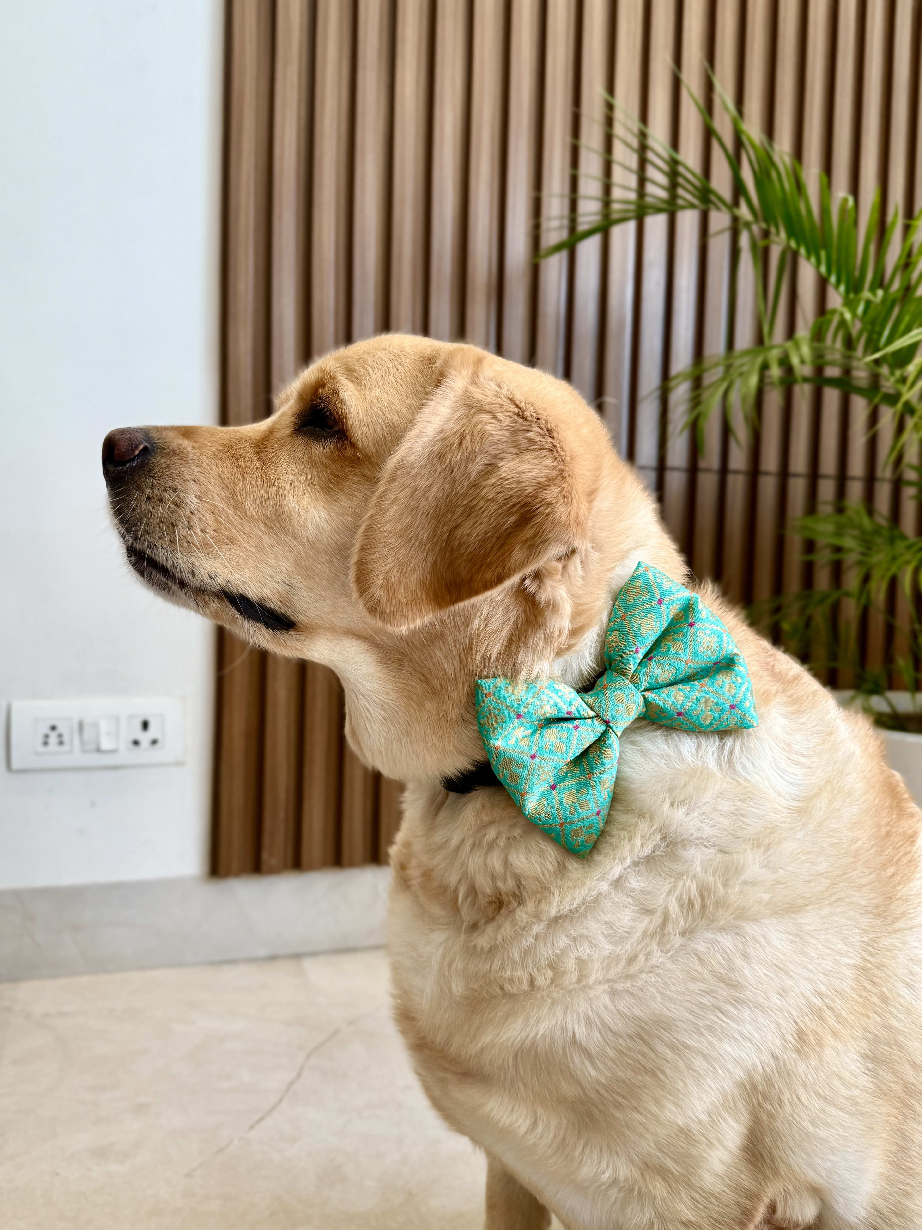 Festive Charm Bow Tie image 2
