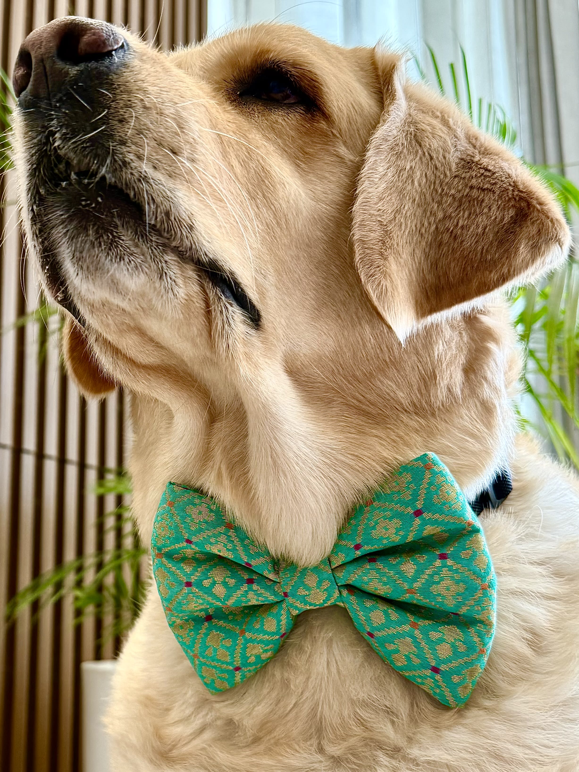Festive Charm Bow Tie image 4
