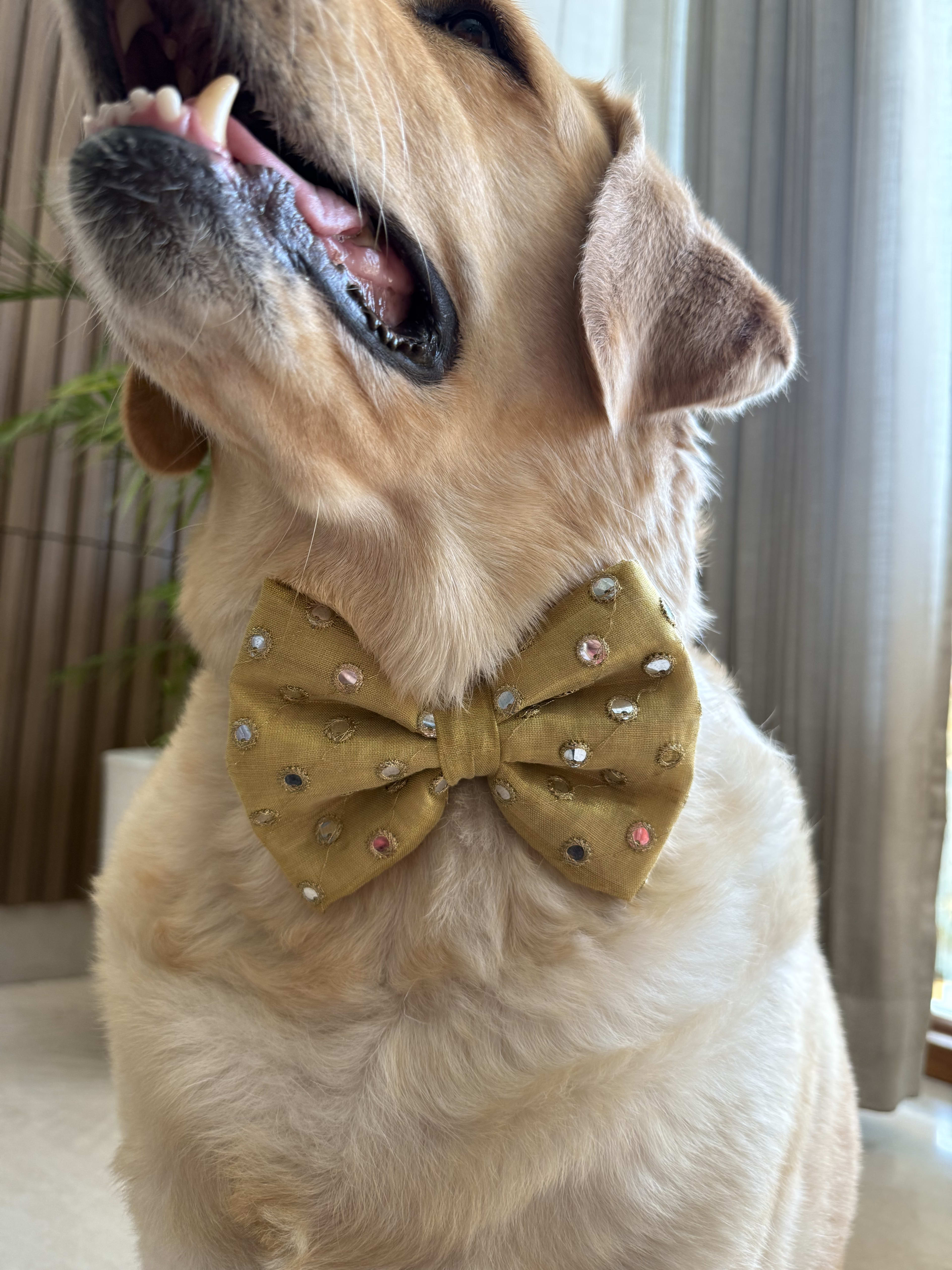Golden Sparkle Bow Tie 