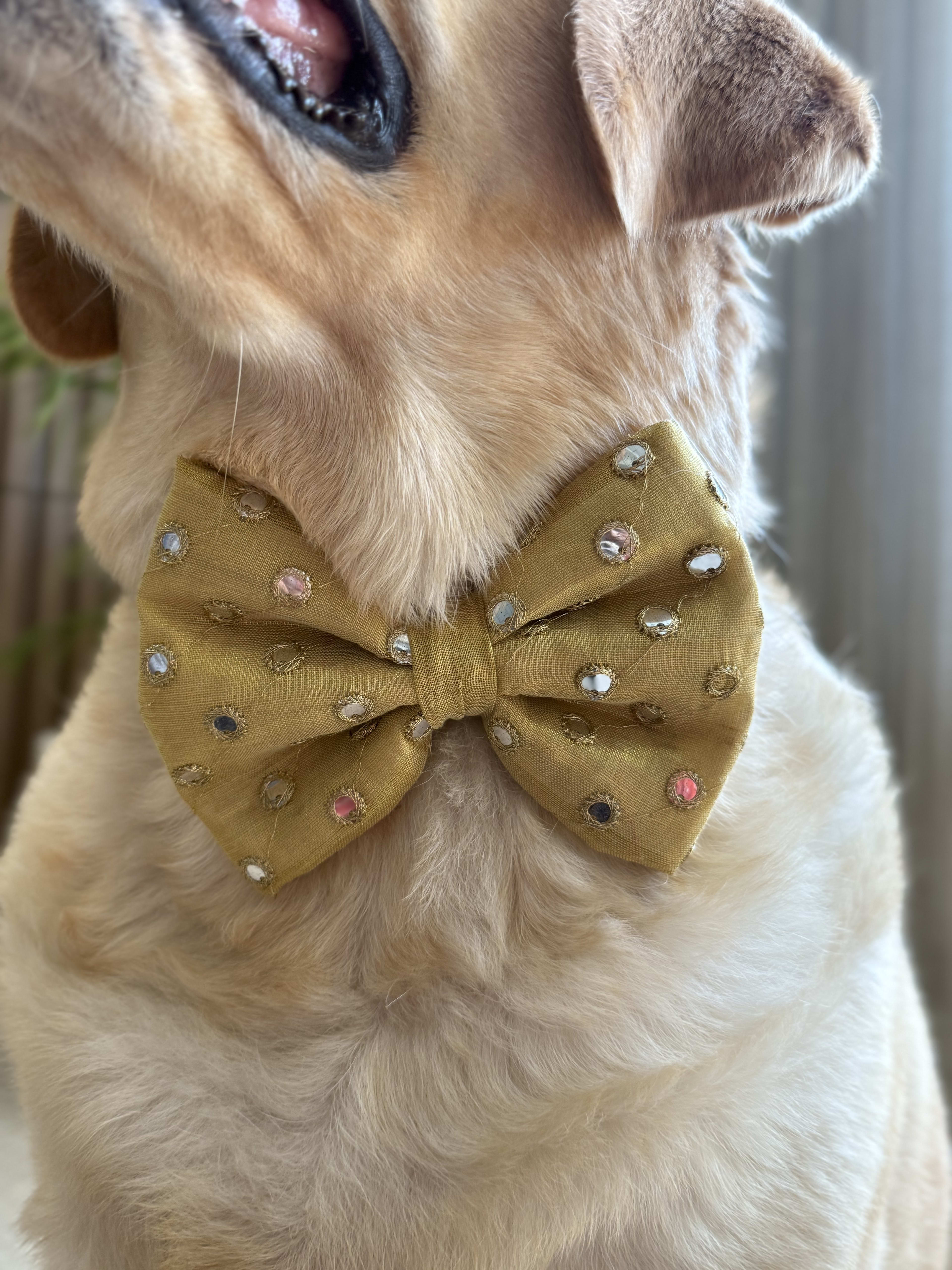 Golden Sparkle Bow Tie  image 4