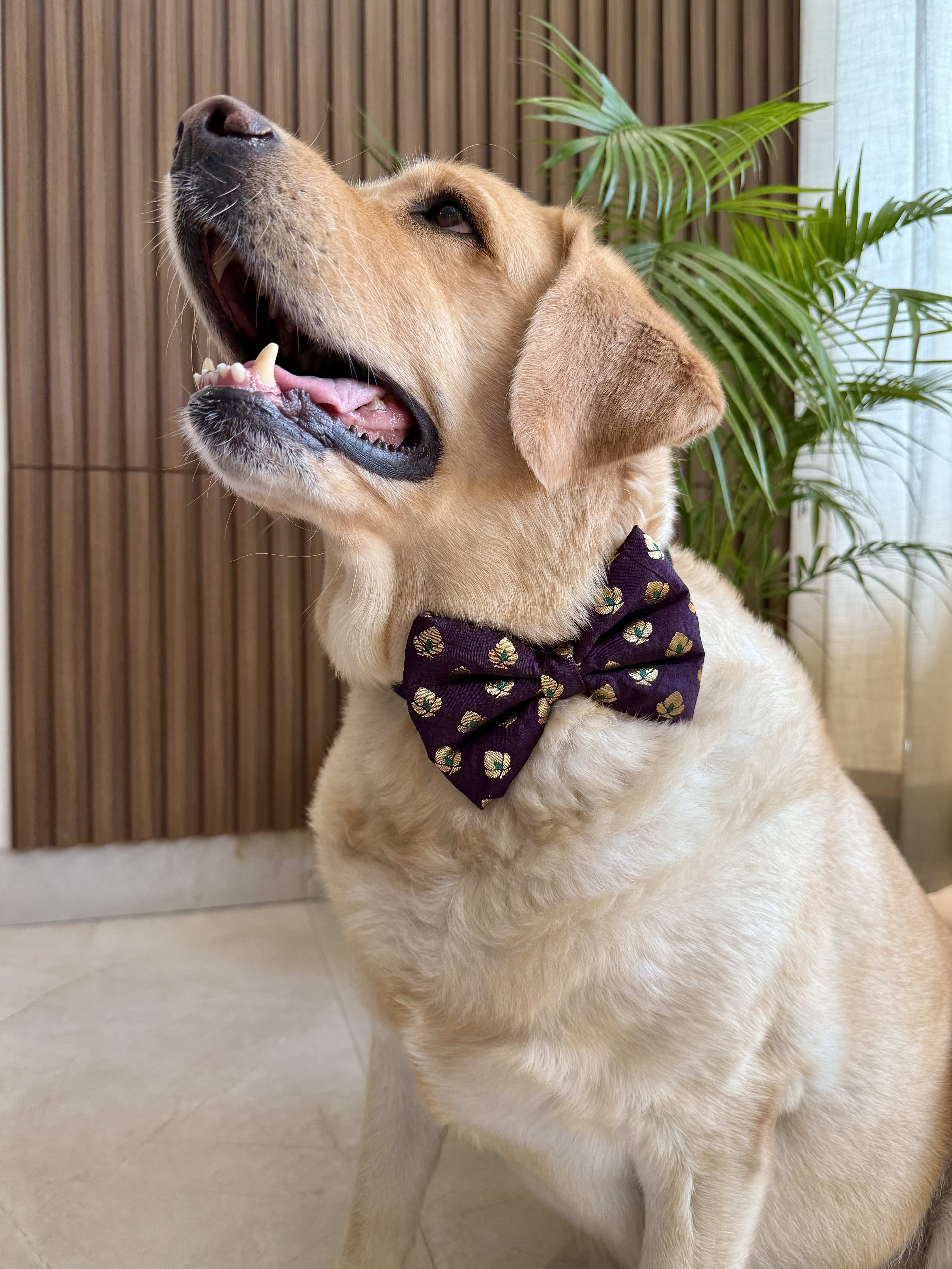 Festive Burgundy Bloom Bow tie