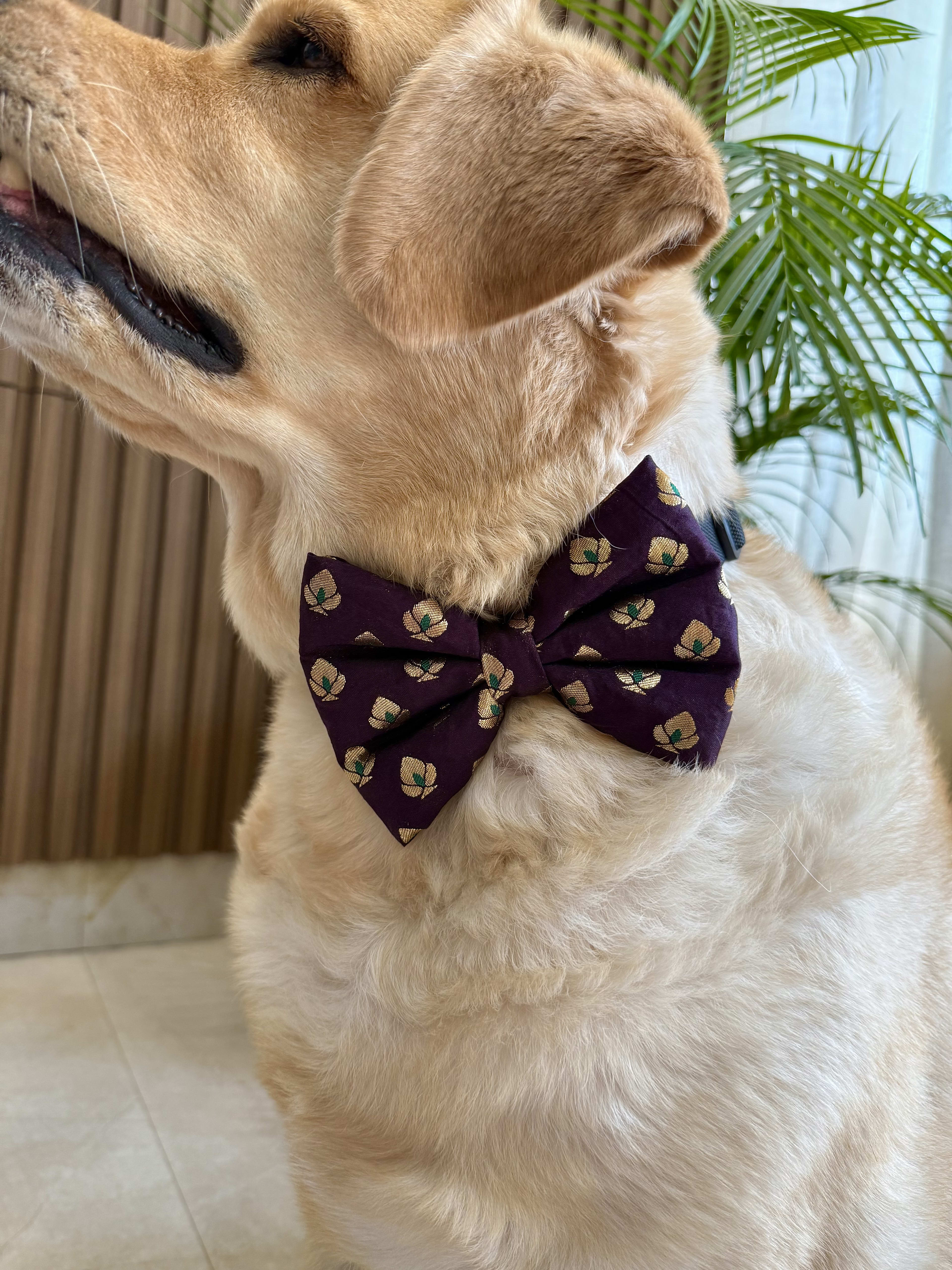 Festive Burgundy Bloom Bow tie image 5