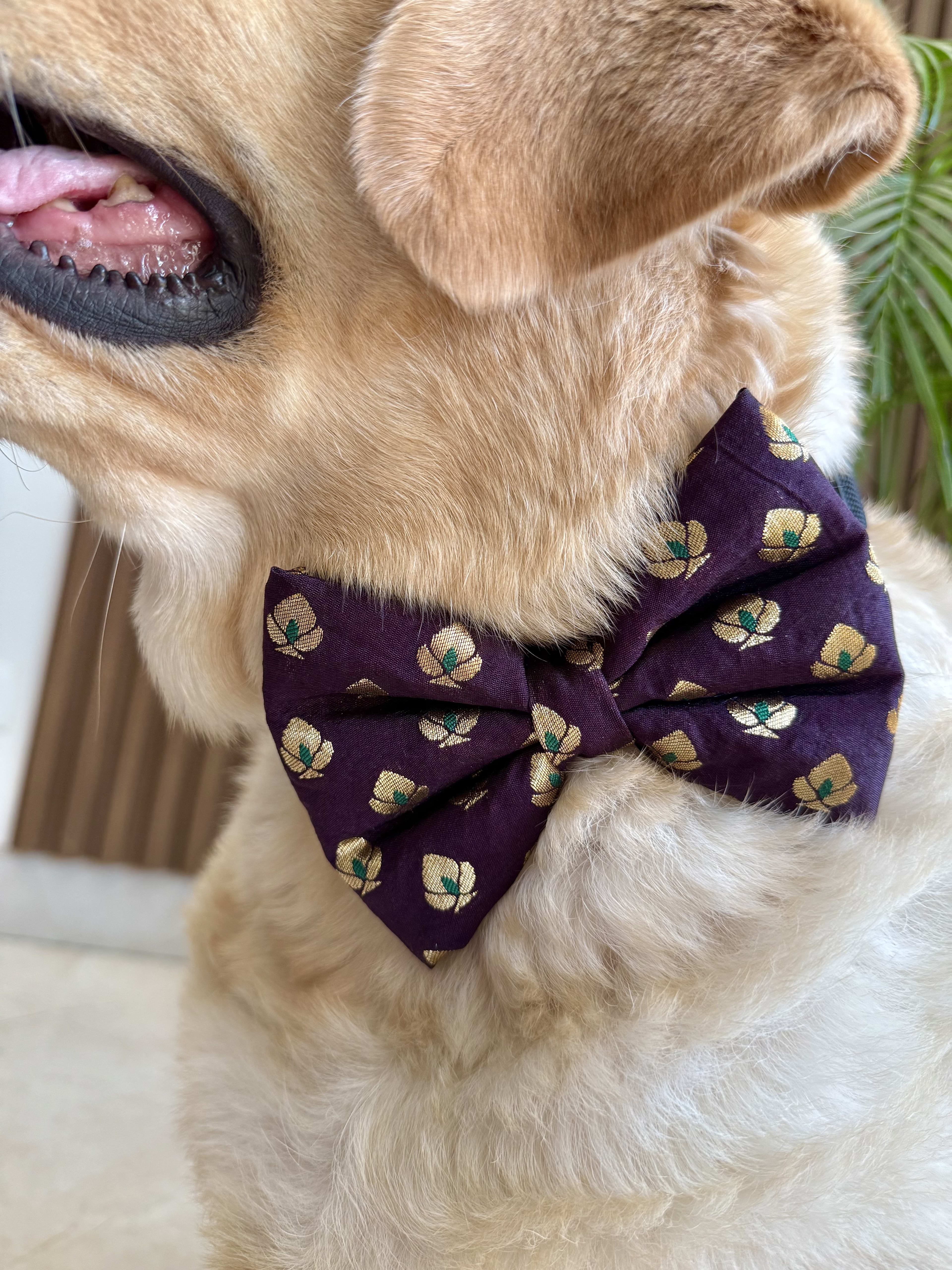 Festive Burgundy Bloom Bow tie image 6