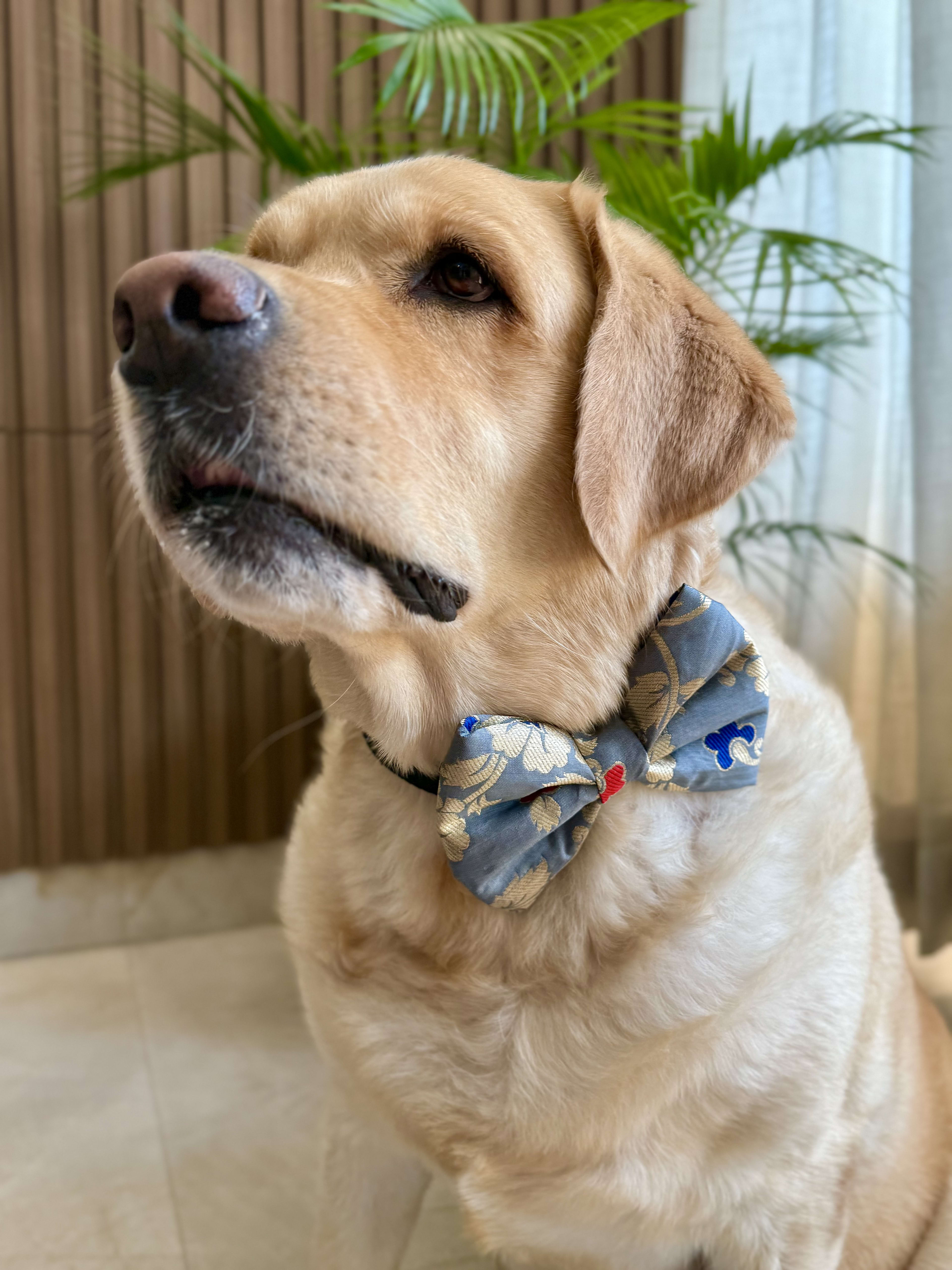 Grey Magic bow tie  image 6
