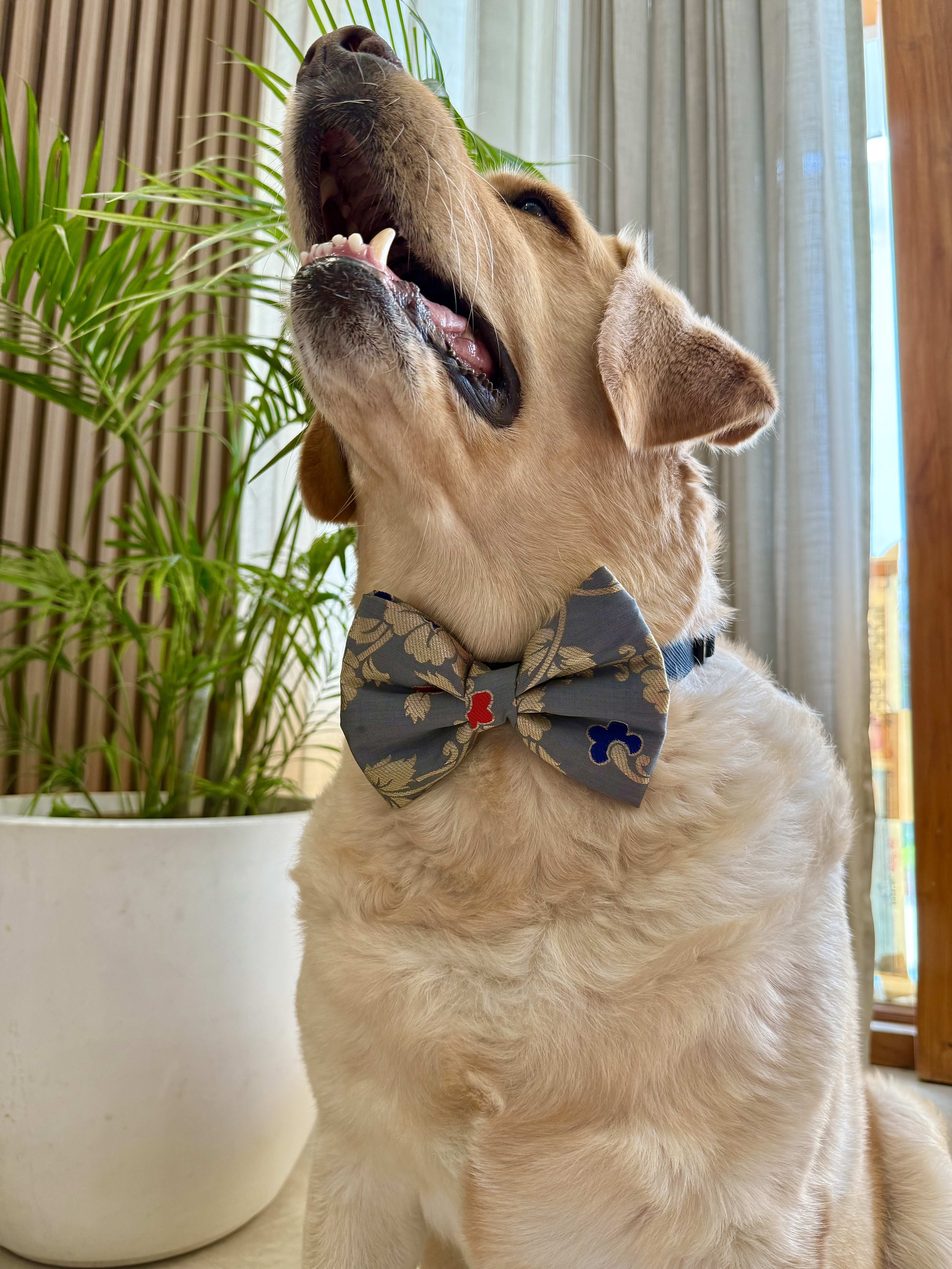 Grey Magic bow tie  image 3
