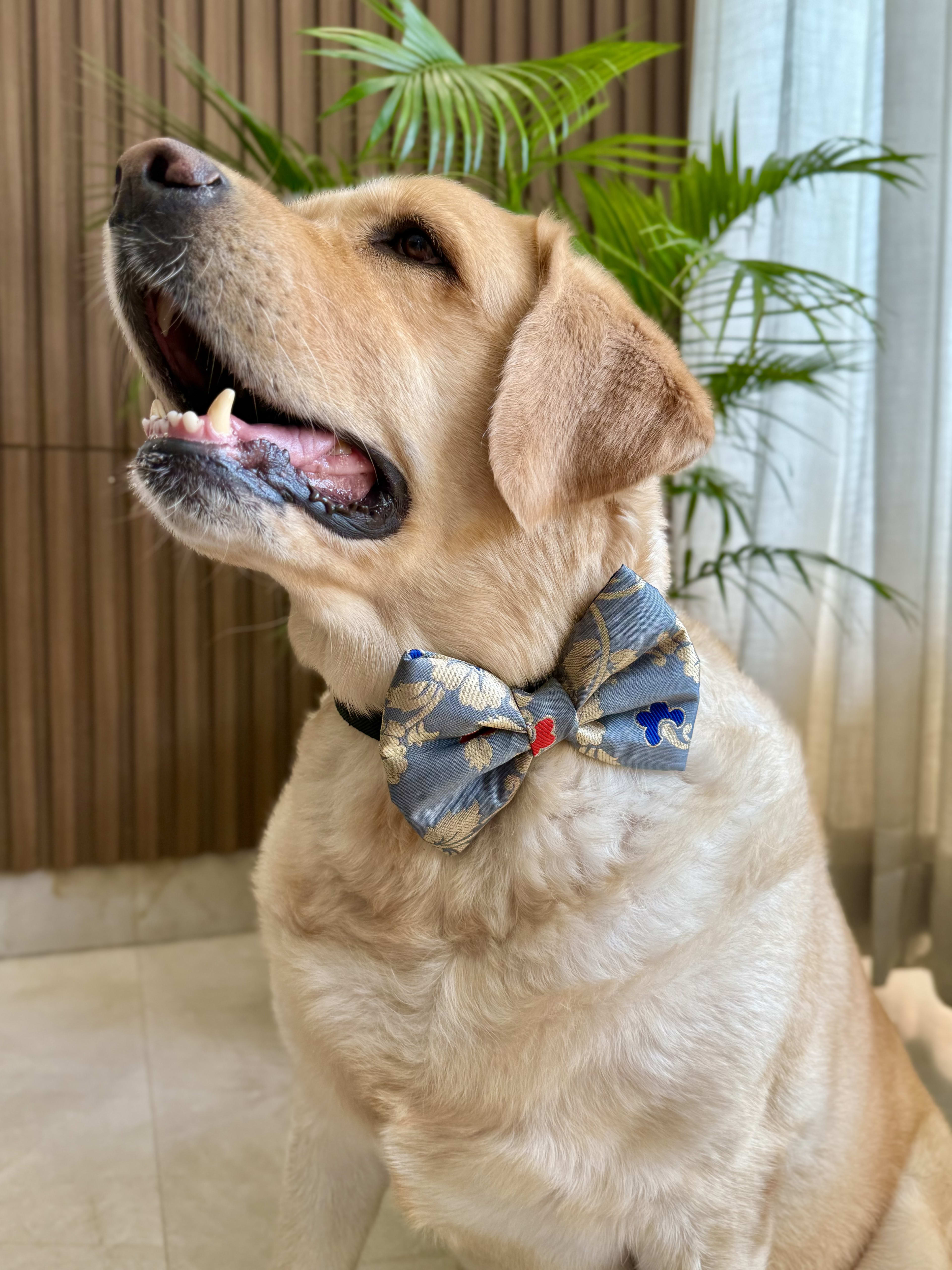 Grey Magic bow tie