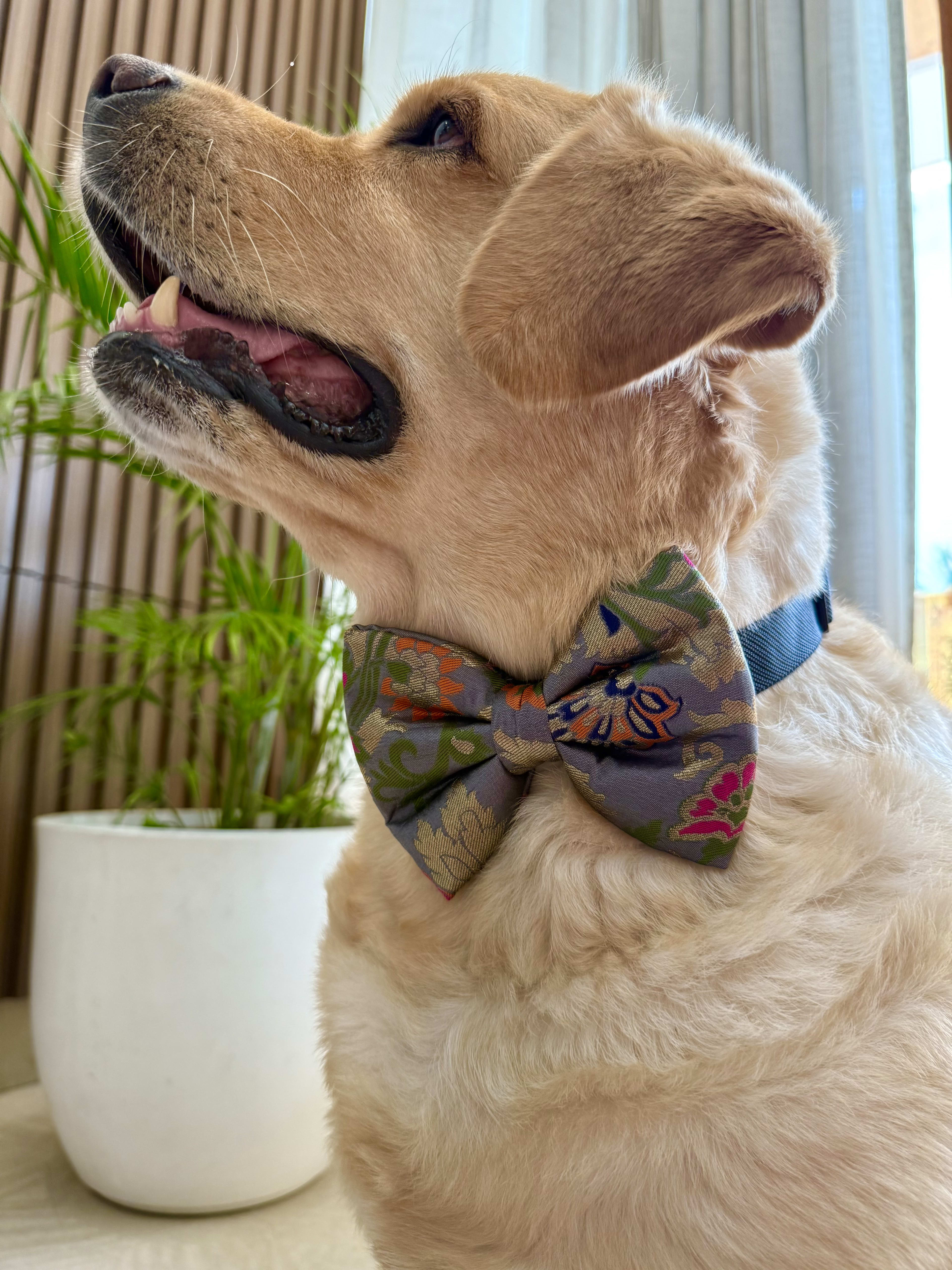 Regal Blossom Bow Tie  image 4