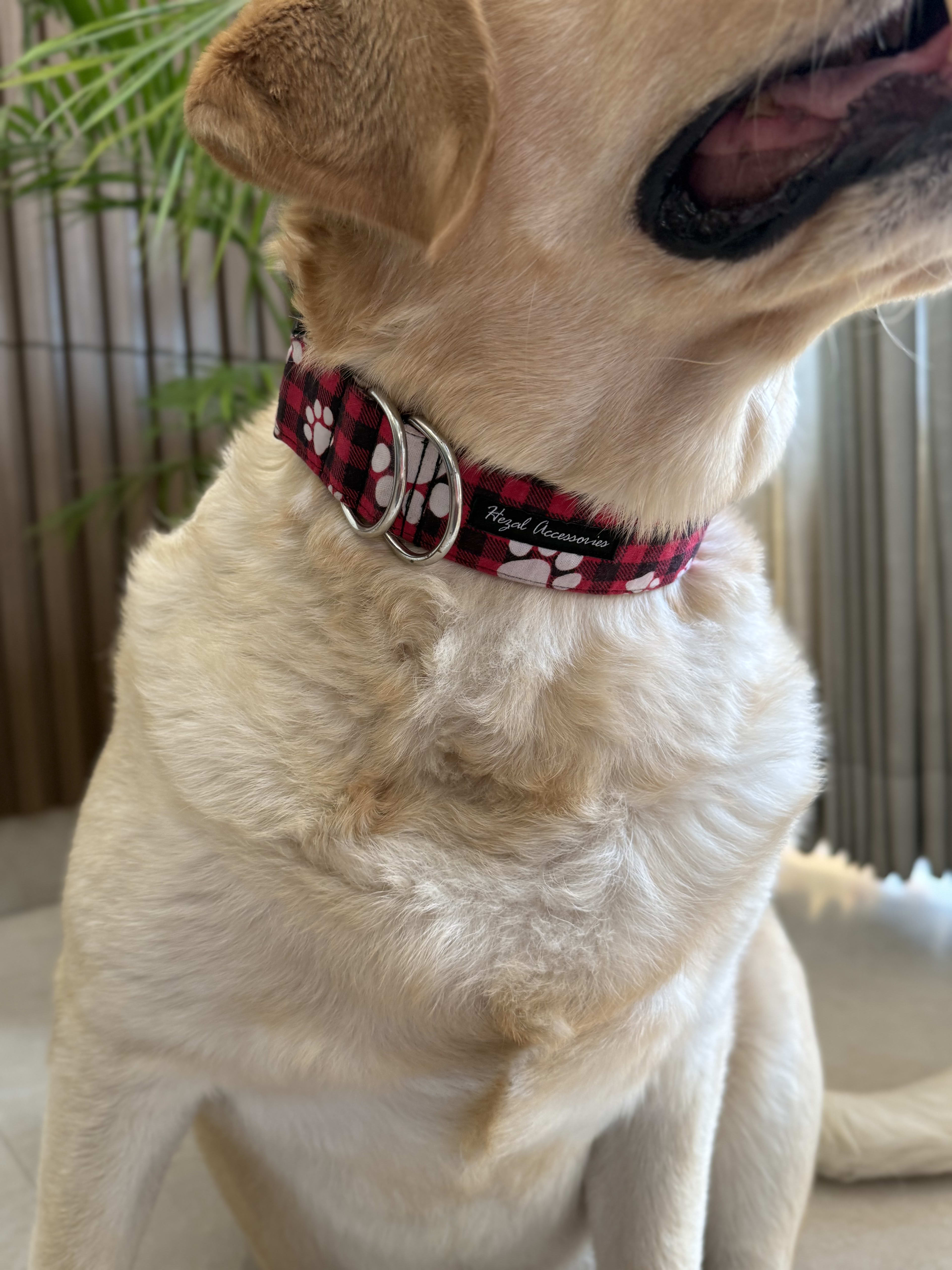 Plaid Pawfect Collar image 5