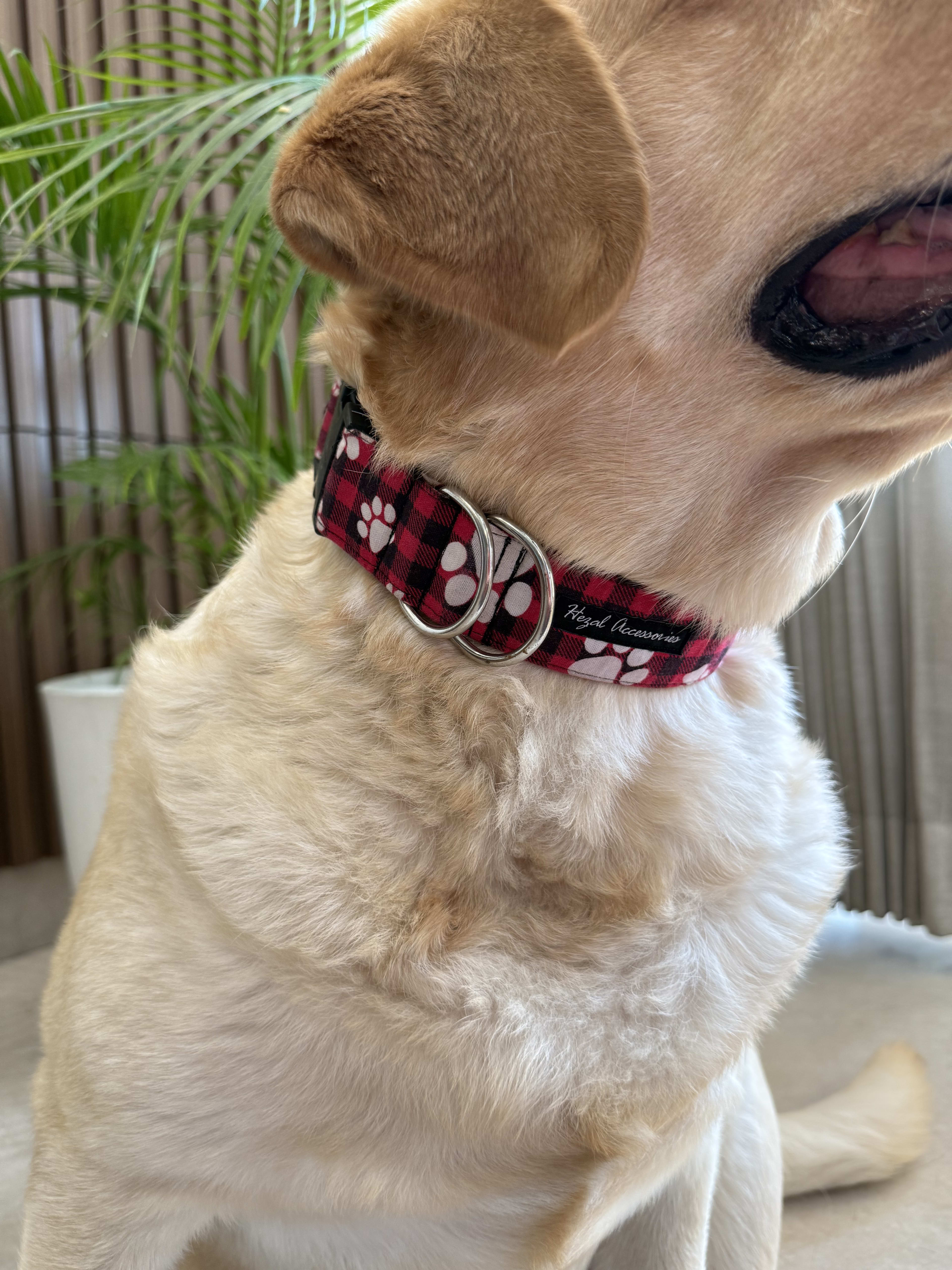 Plaid Pawfect Collar image 4