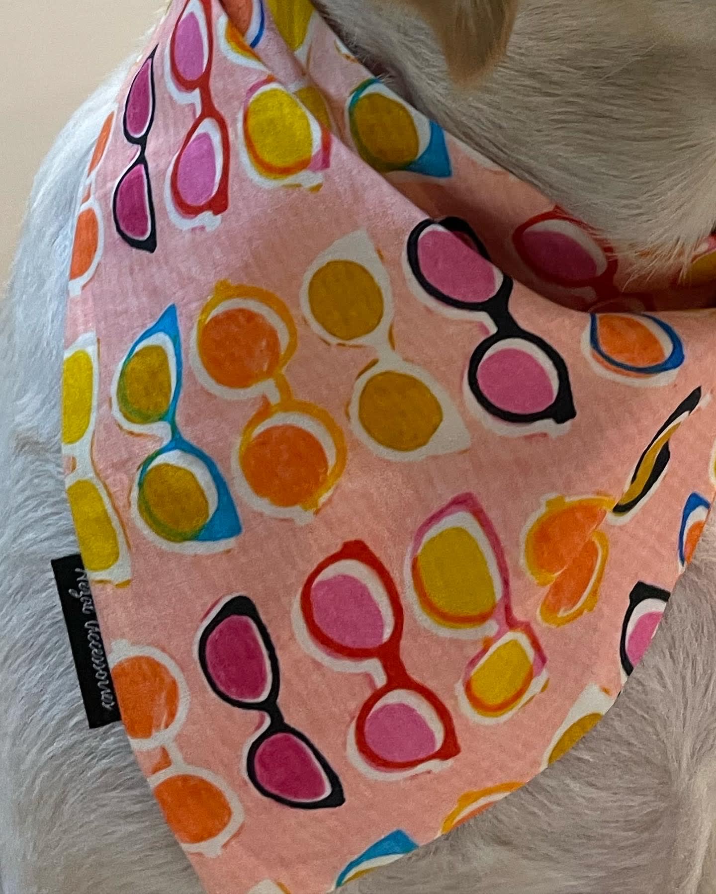 Sunny Shades tie on Bandana