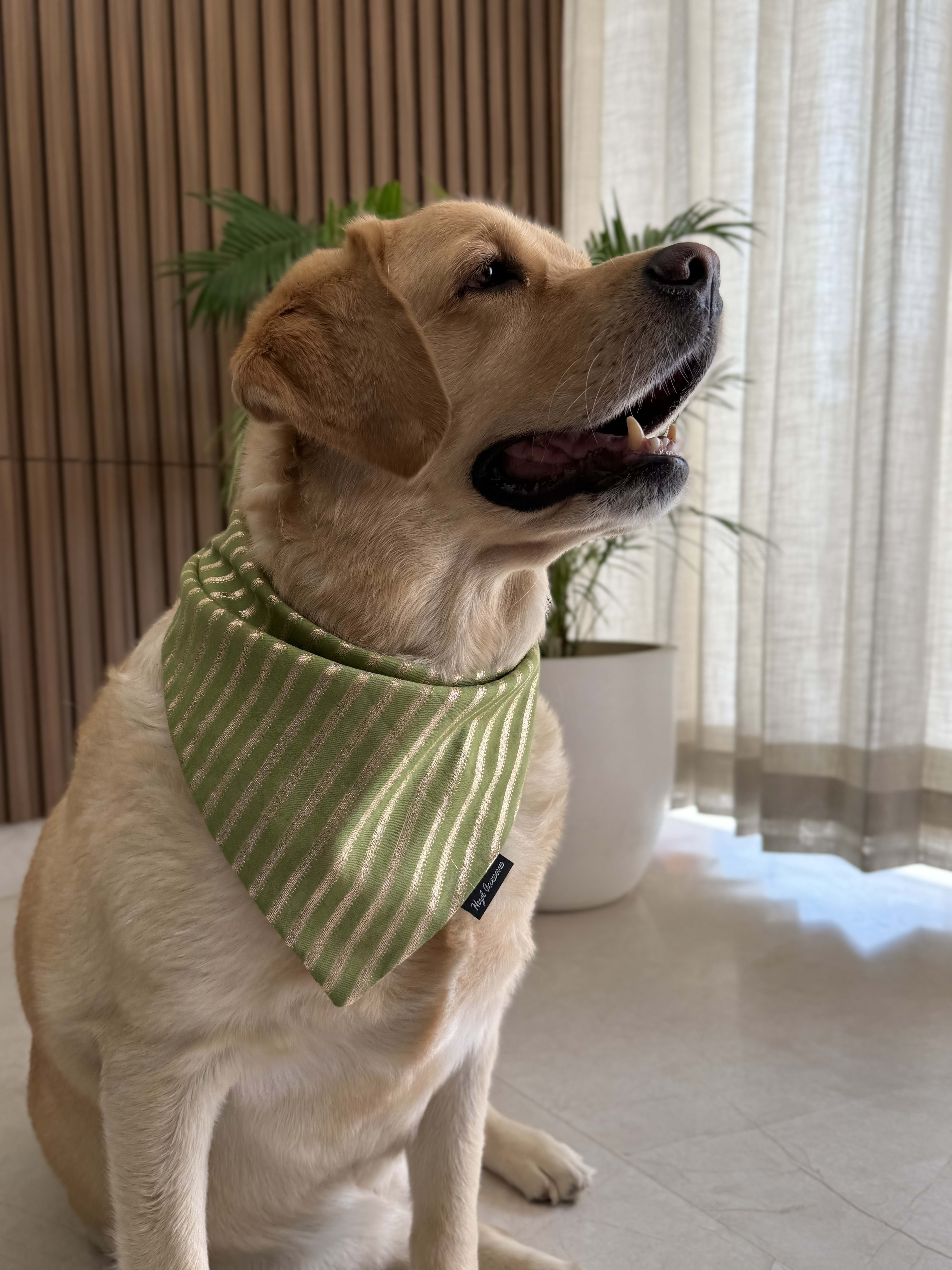 Olive Luxe festive Bandana