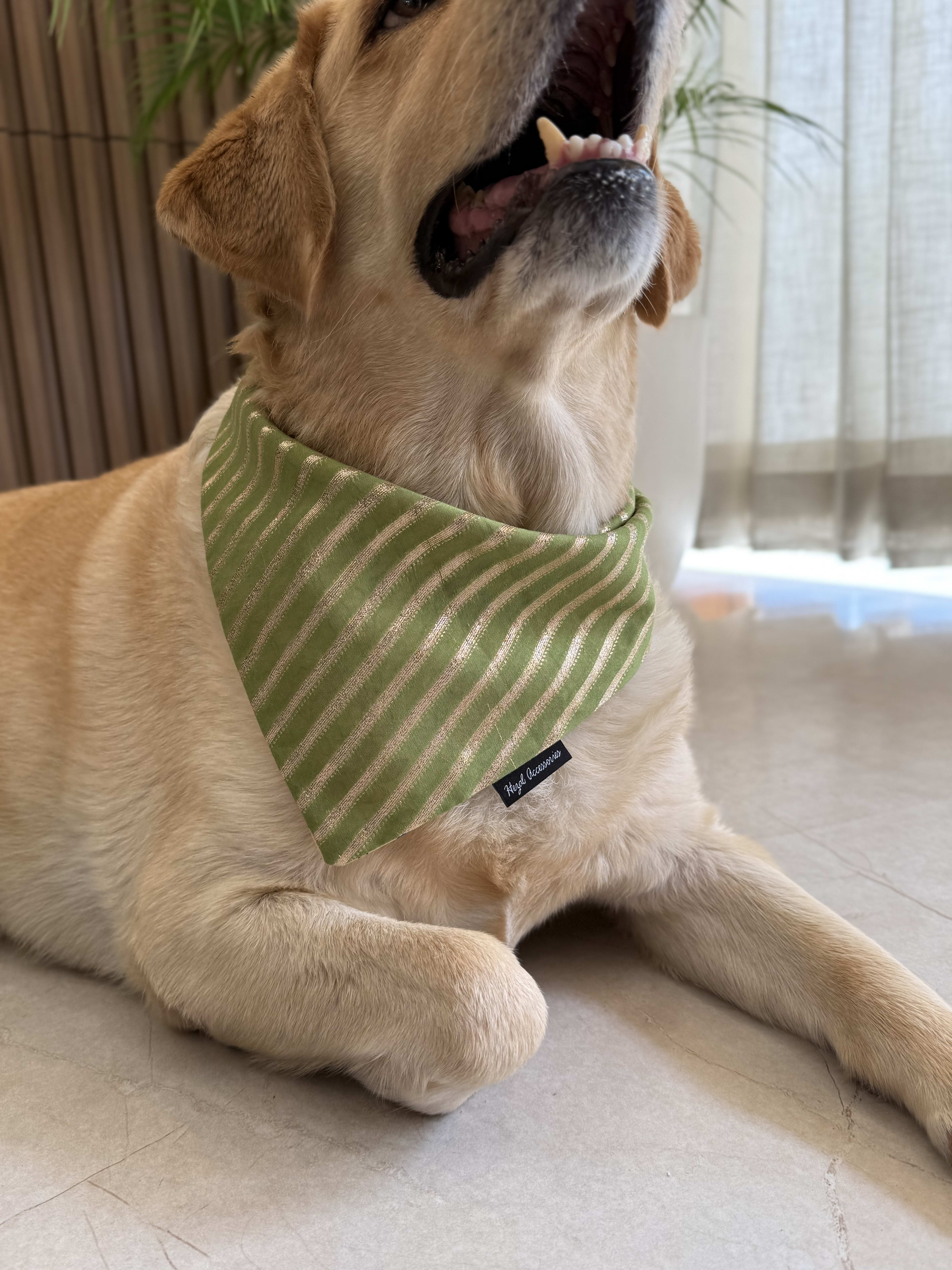 Olive Luxe festive Bandana image 2