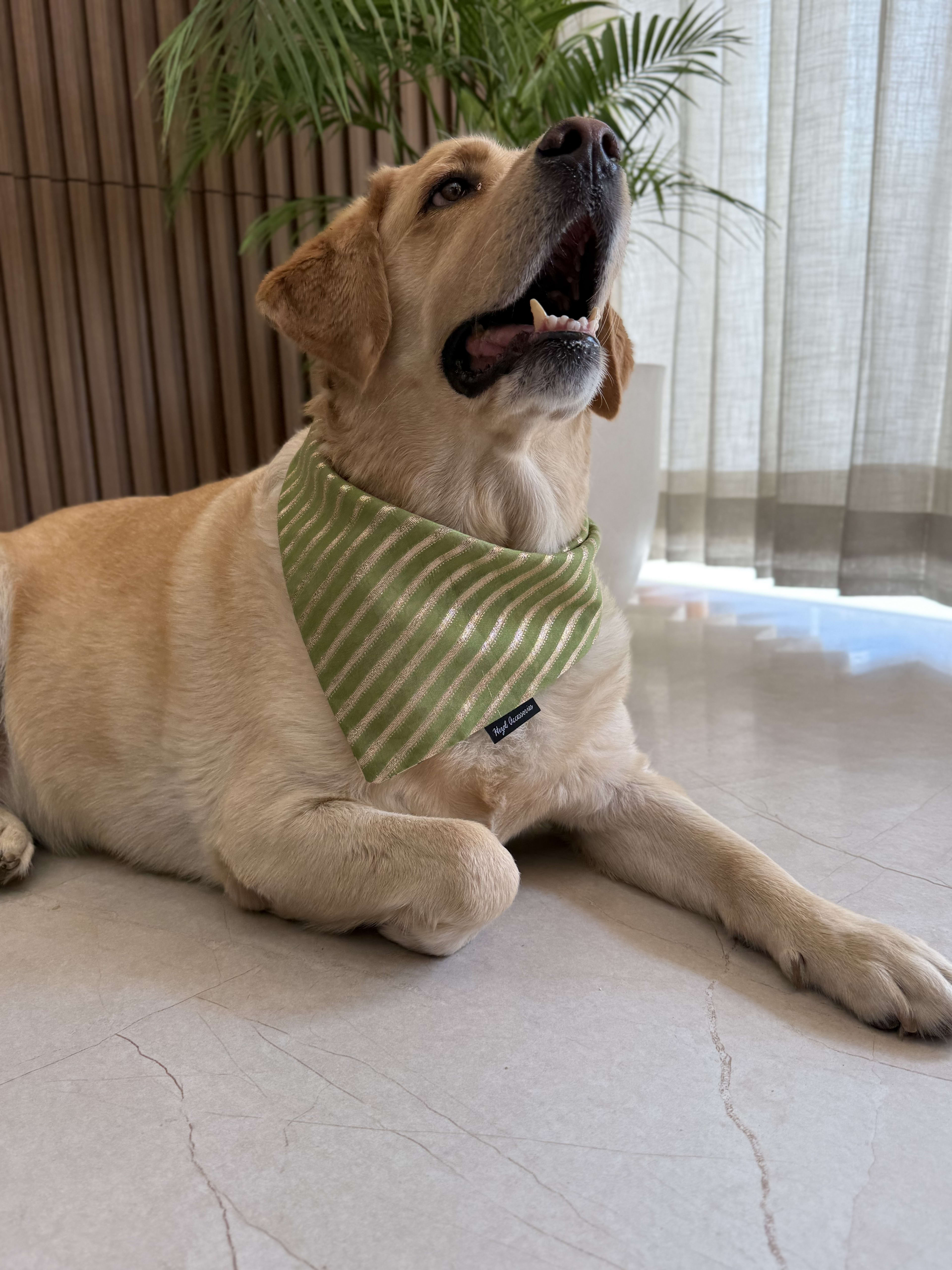 Olive Luxe festive Bandana image 4