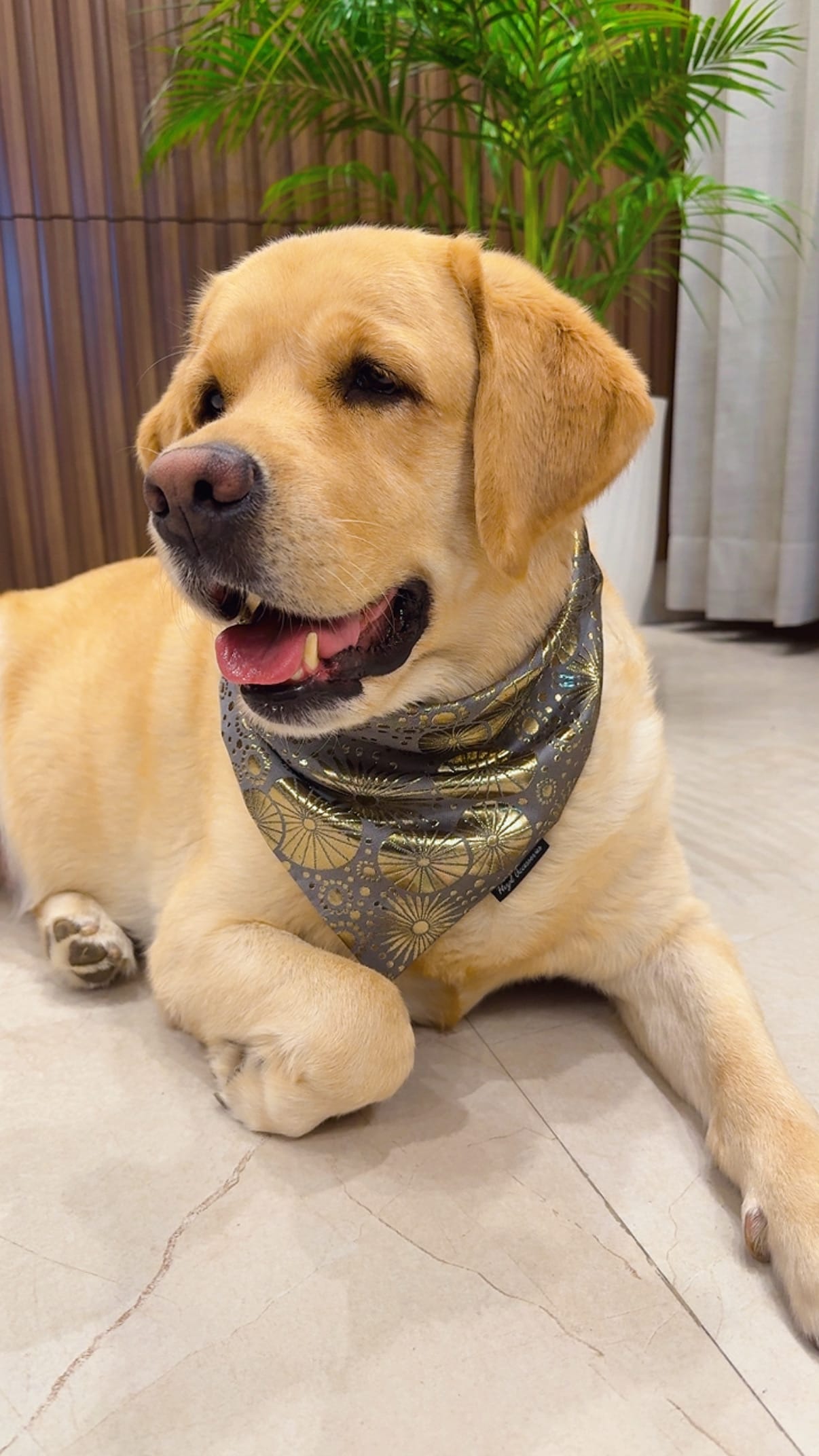Fuljhari festive bandana 