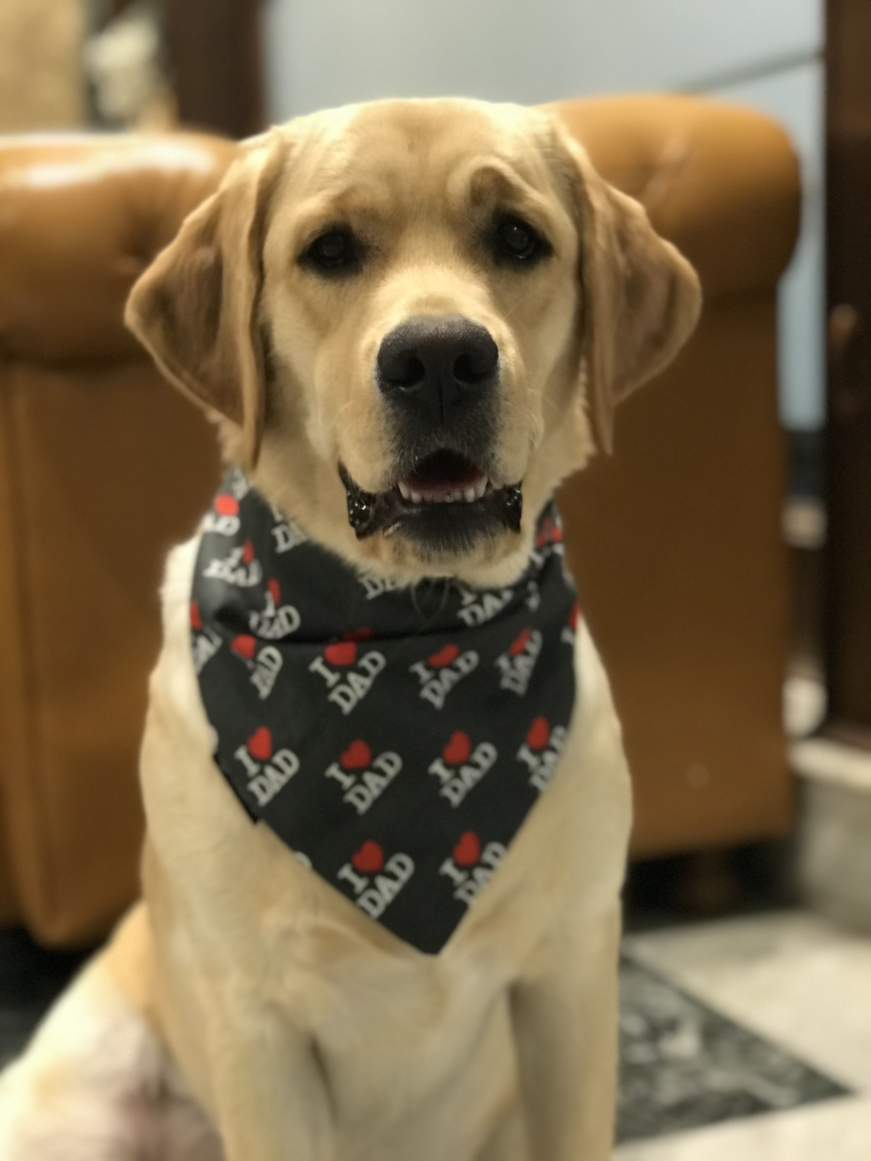 Dad’s Favorite Pup