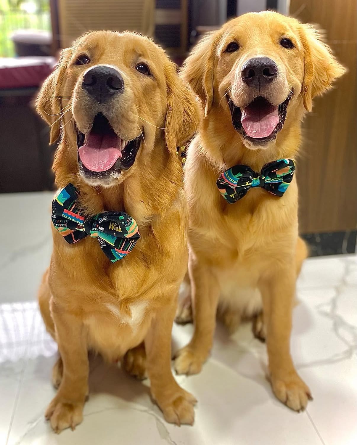 Birthday wishes Bow tie 