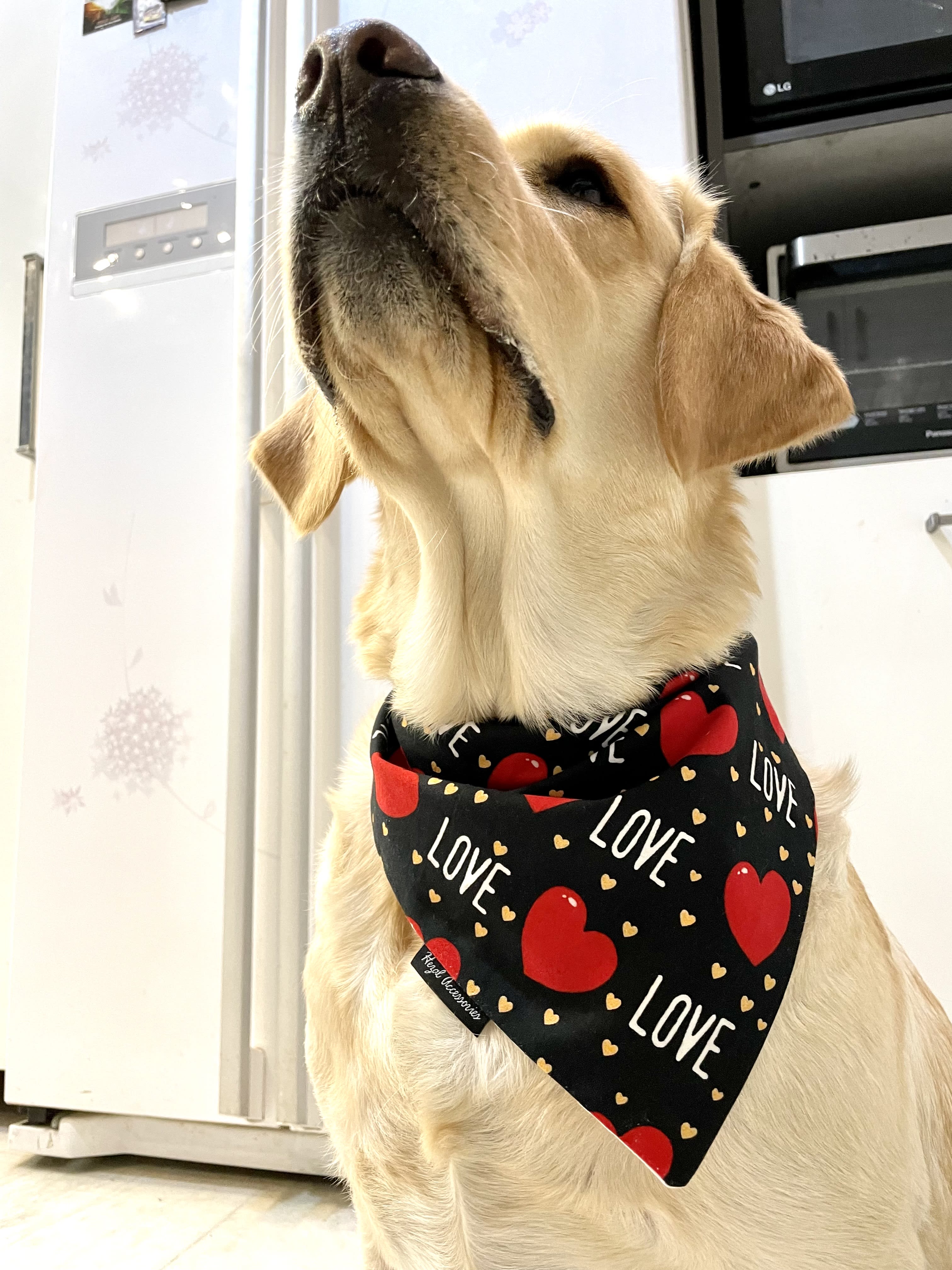 Fur-Ever Love tie on Bandana image 4