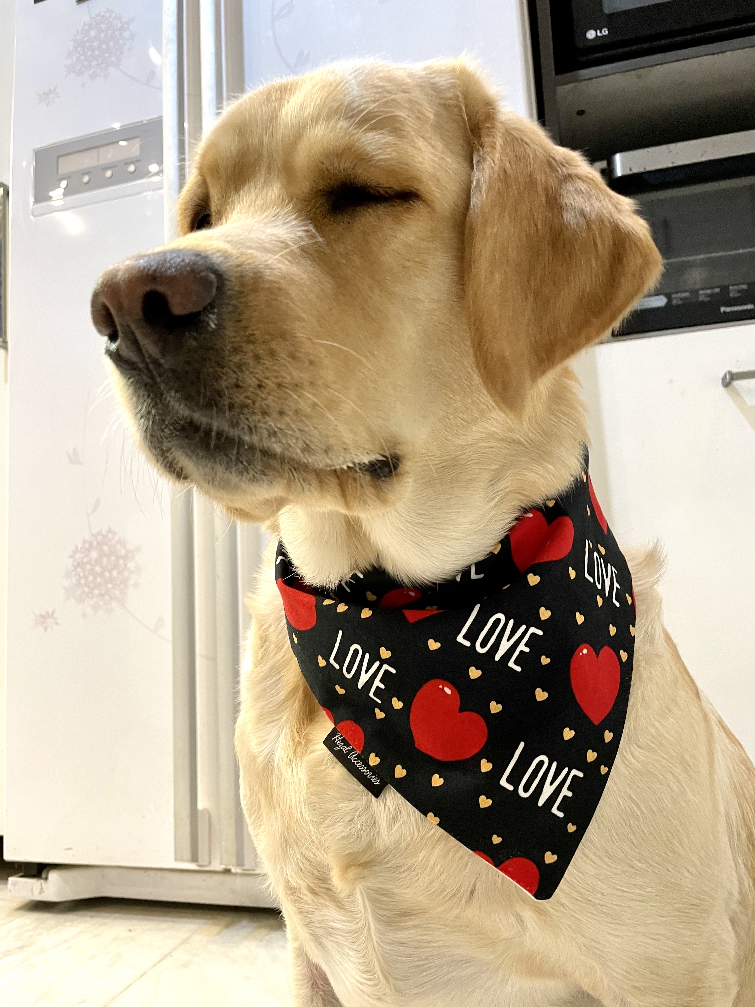 Fur-Ever Love tie on Bandana image 2