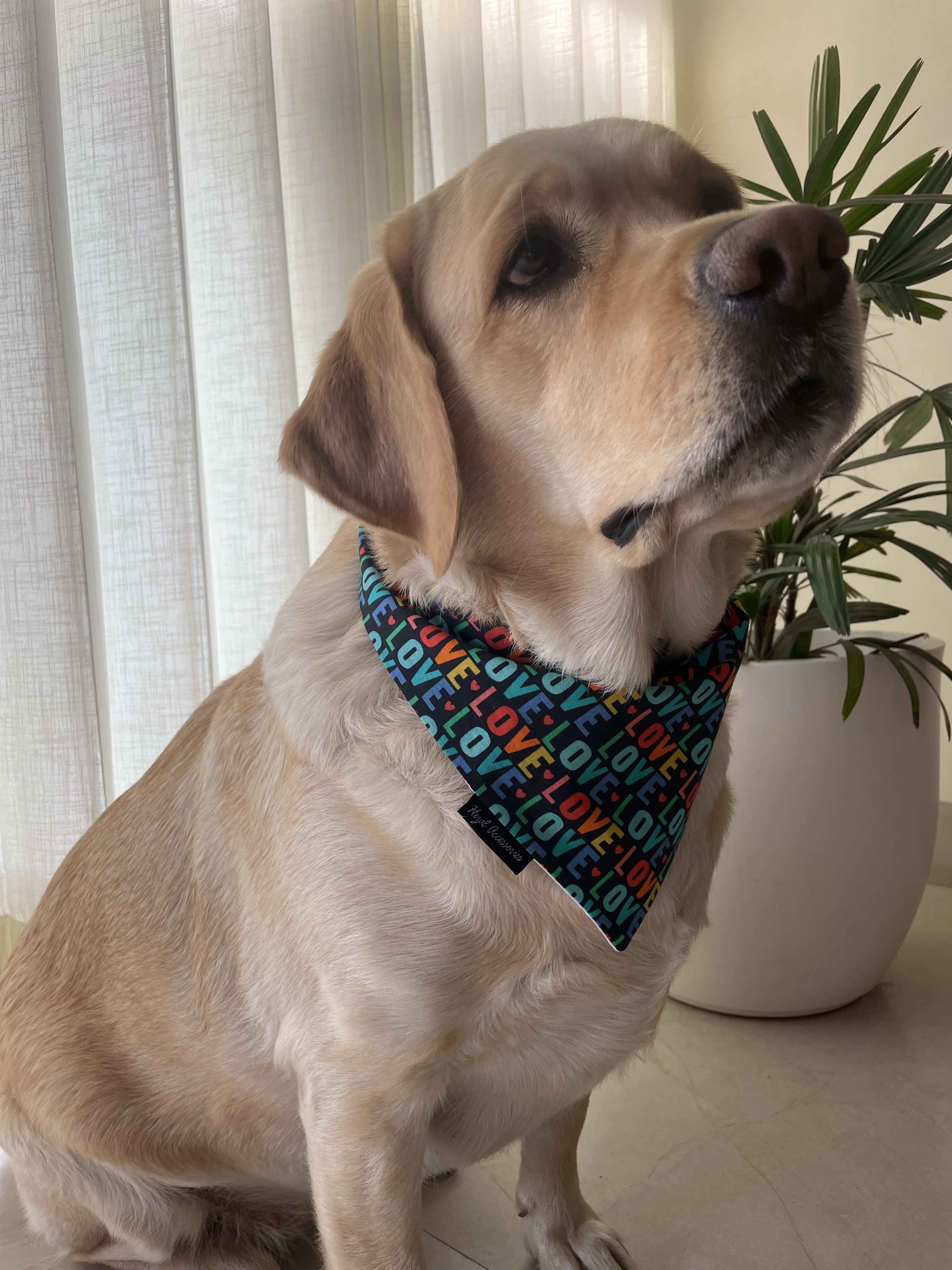 Love Loop Valentine tie on Bandana image 5