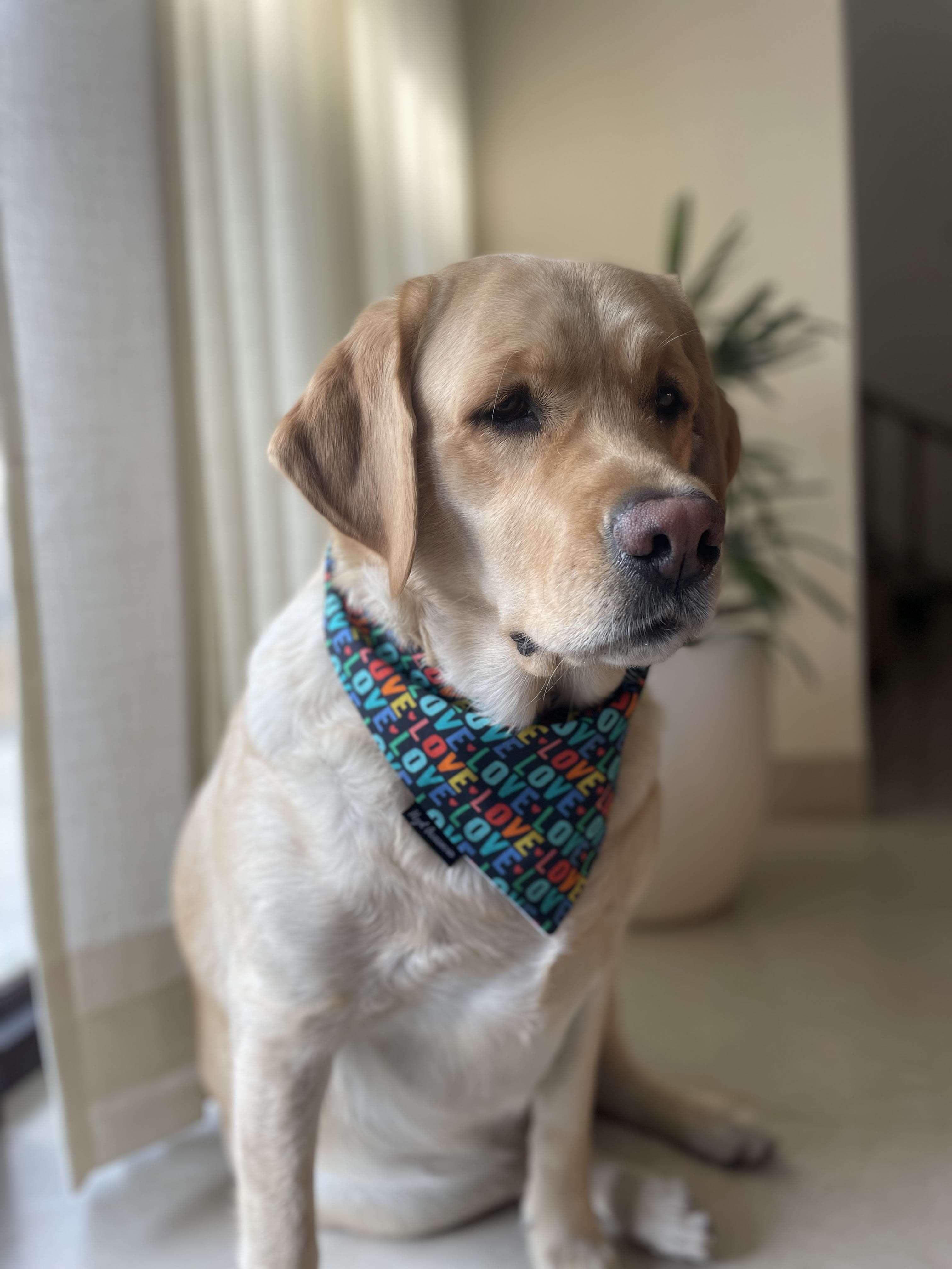 Love Loop Valentine tie on Bandana image 4