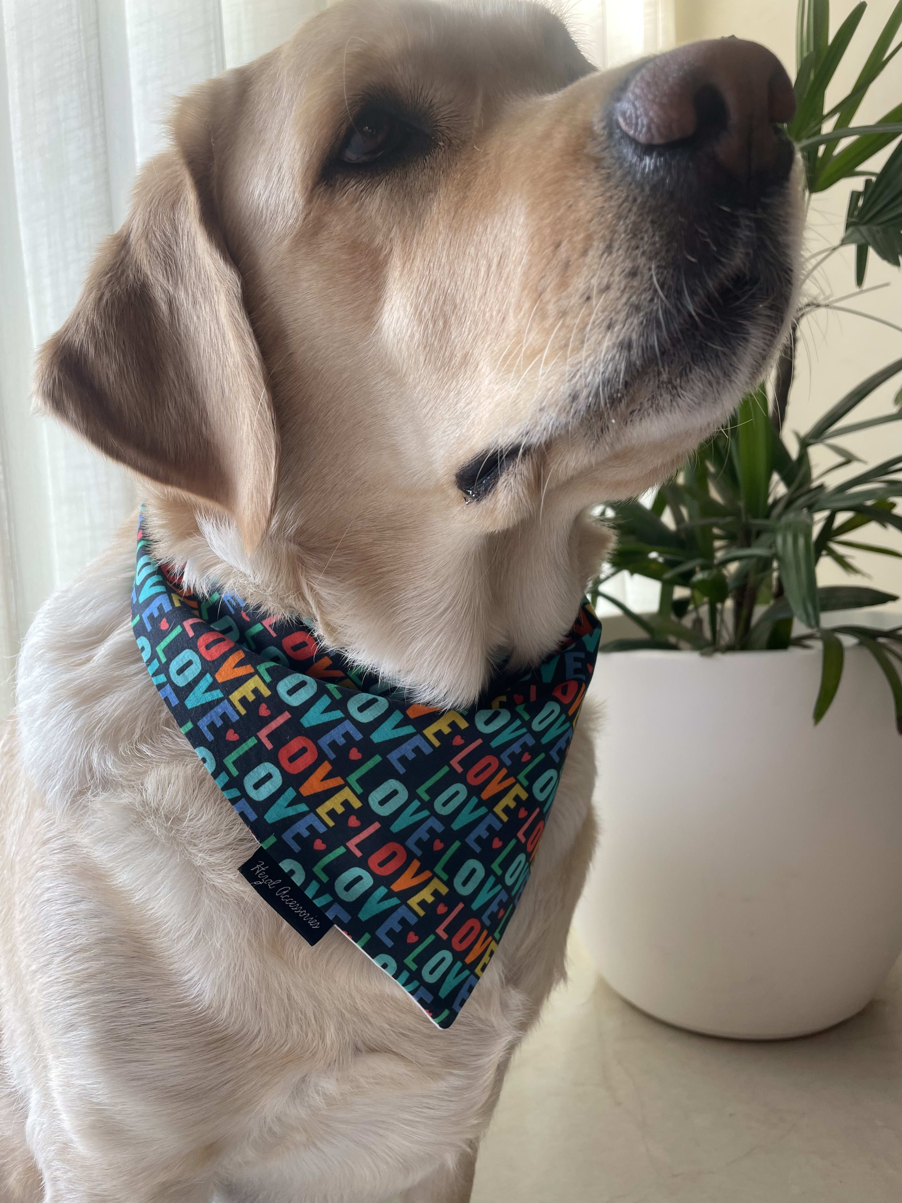 Love Loop Valentine tie on Bandana image 3
