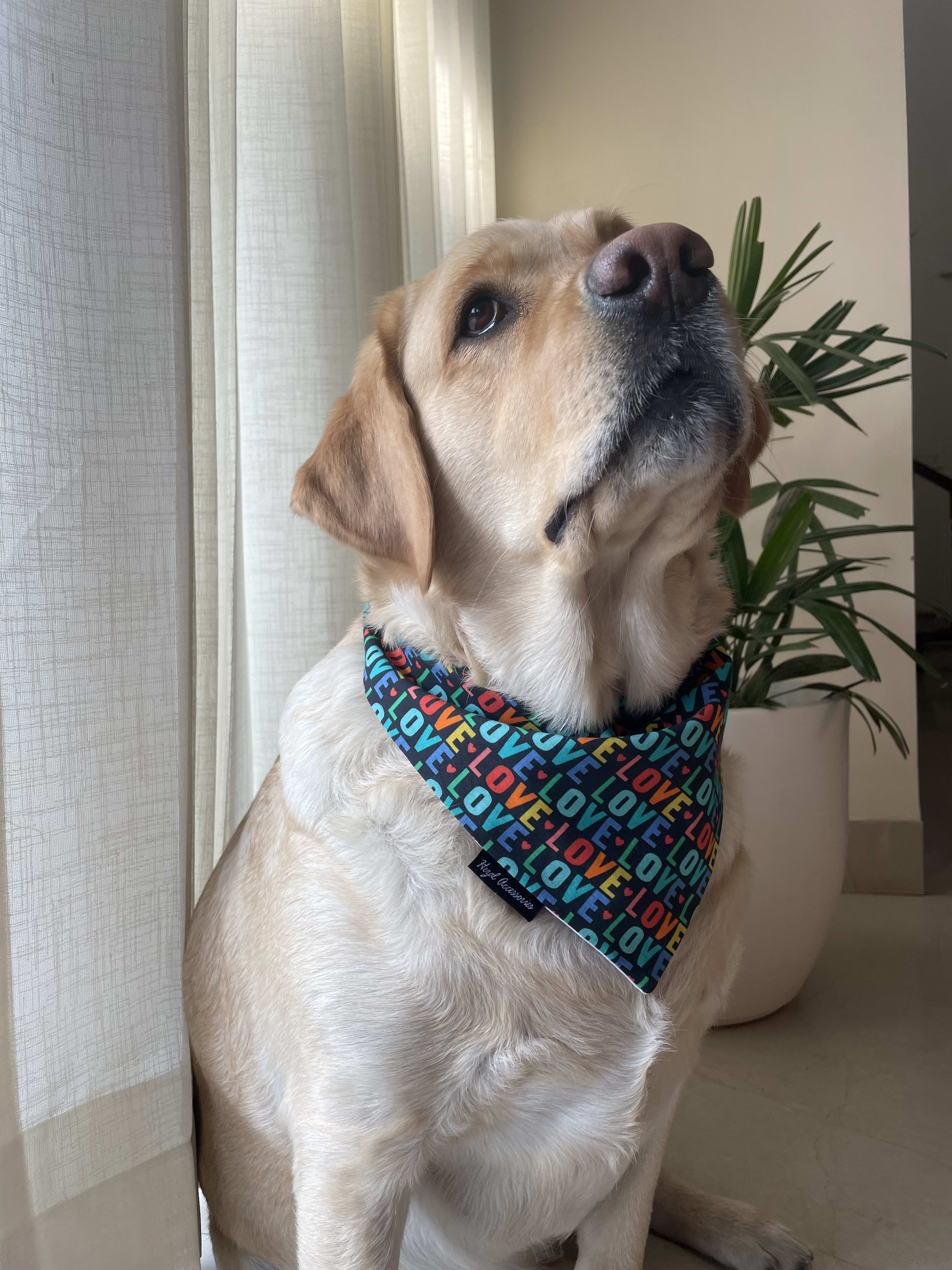 Love Loop Valentine tie on Bandana image 2